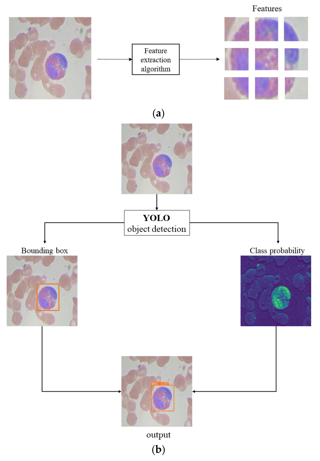 Mathematics 13 03023 g001