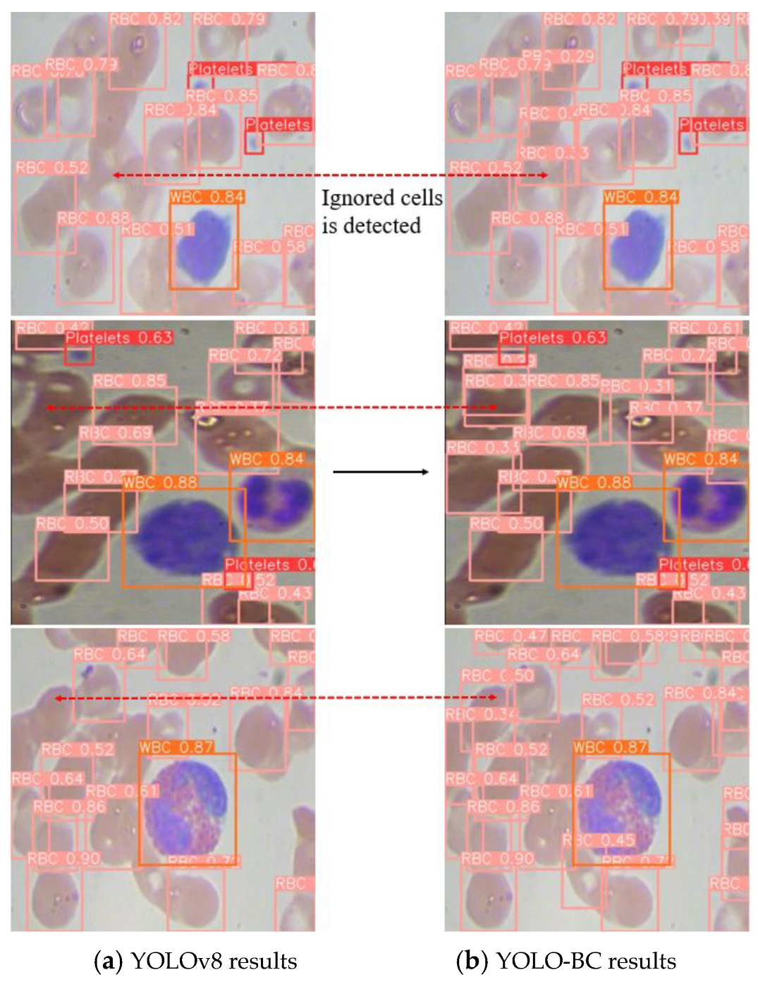 Mathematics 13 03023 g014