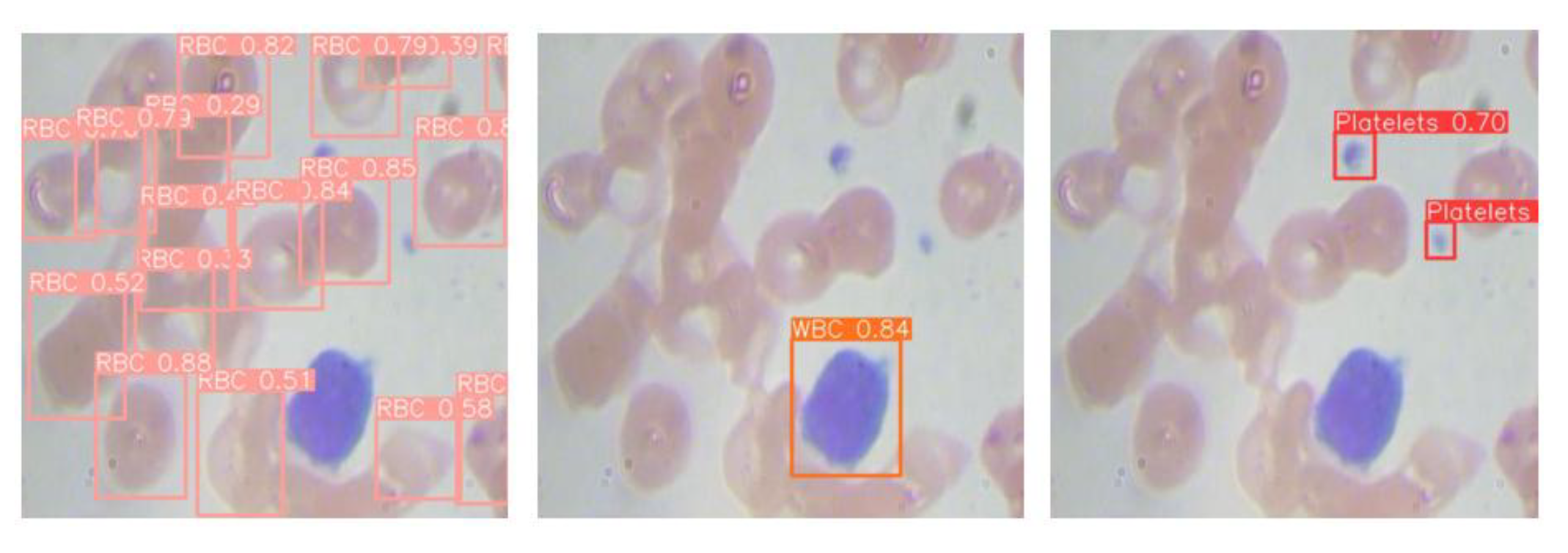 Mathematics 13 03023 g015