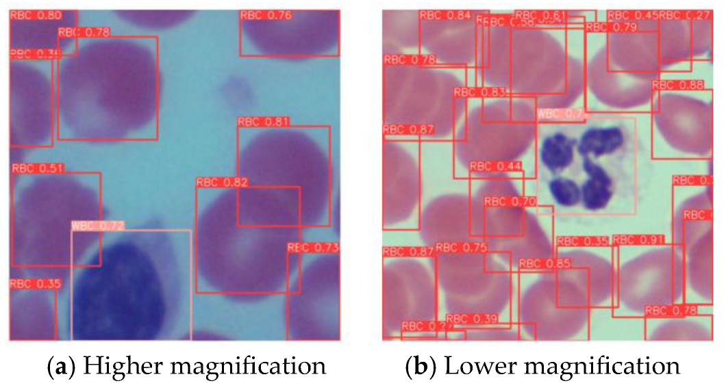 Mathematics 13 03023 g016