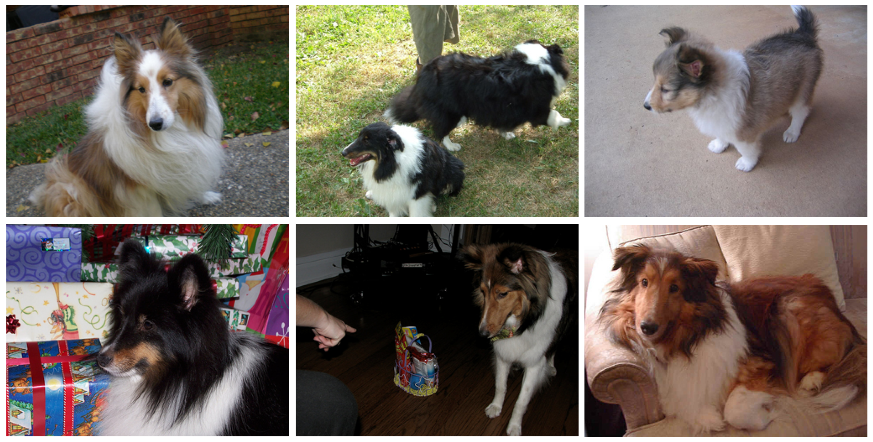 Mathematics 13 03102 g002 Mathematics 13 03102 g002