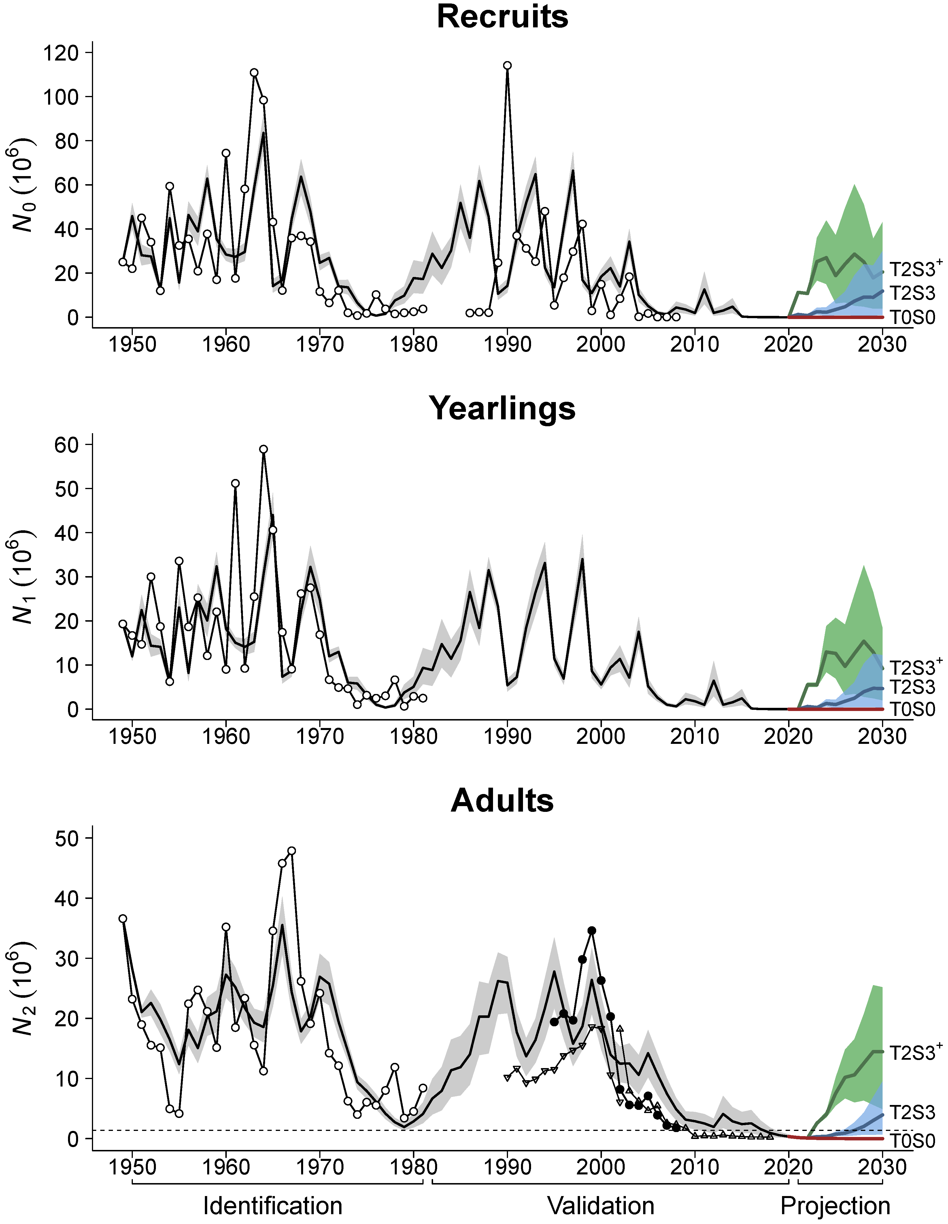 Mathematics 13 03232 g003