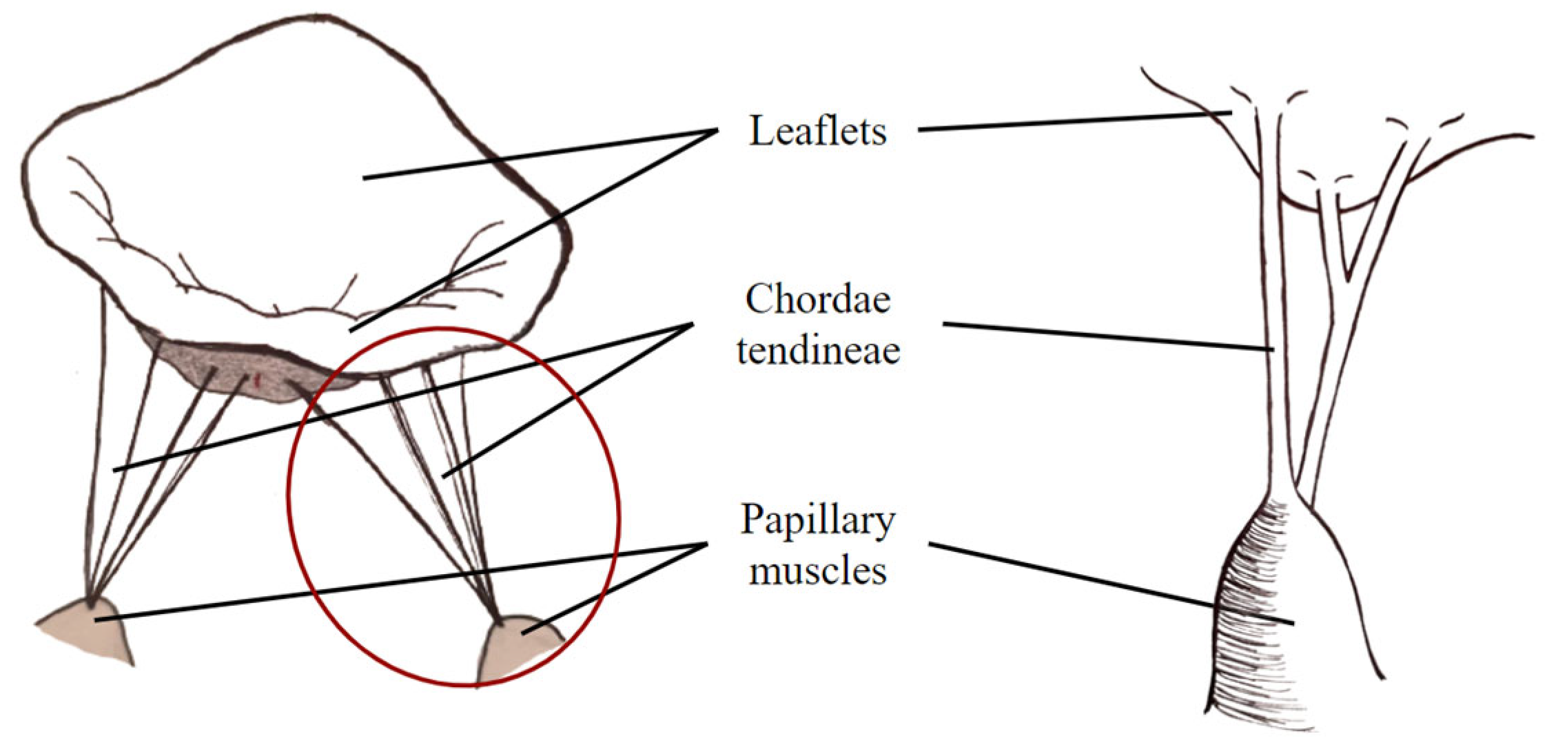Mathematics 13 03331 g001
