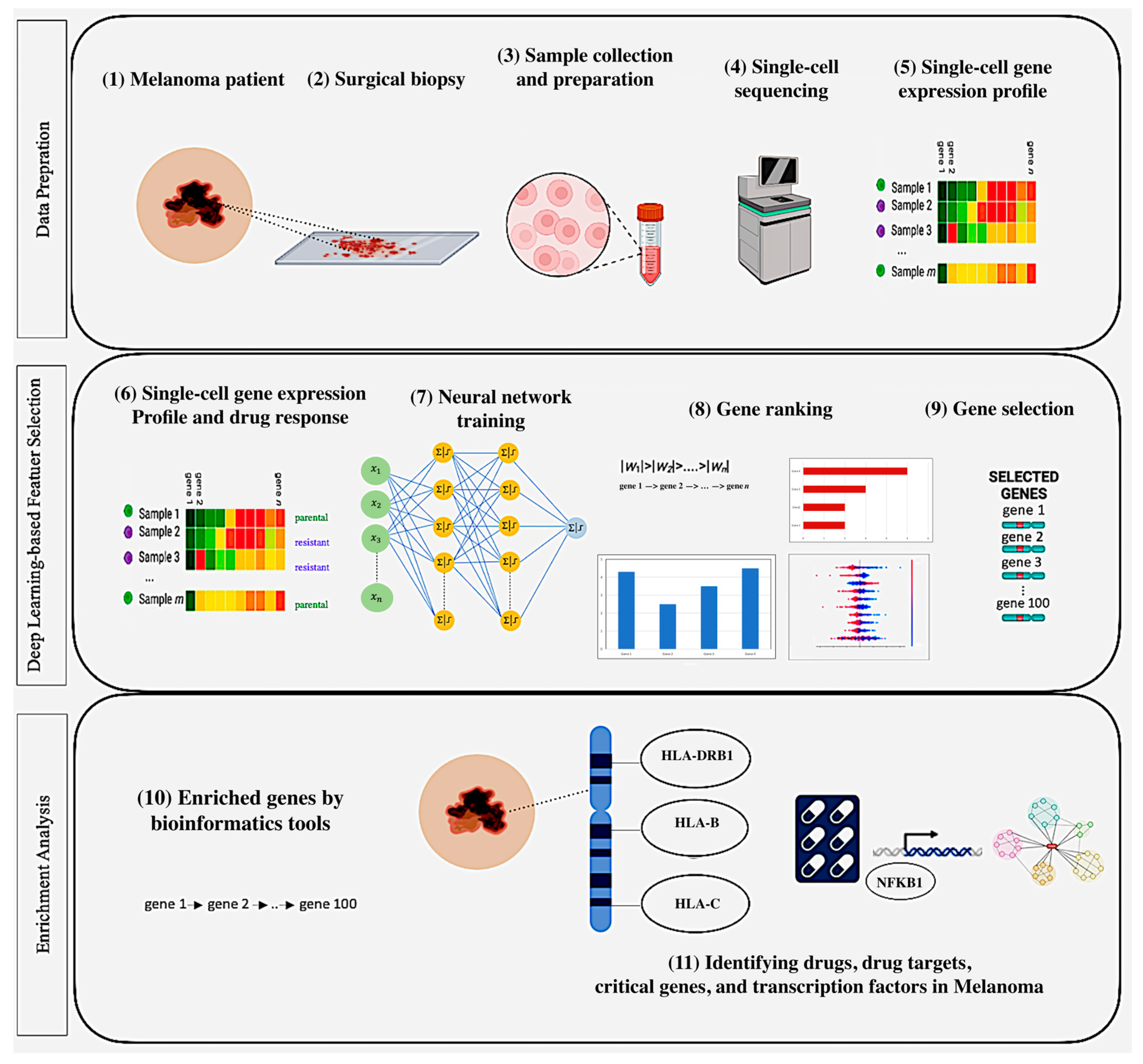 Mathematics 13 03334 g001