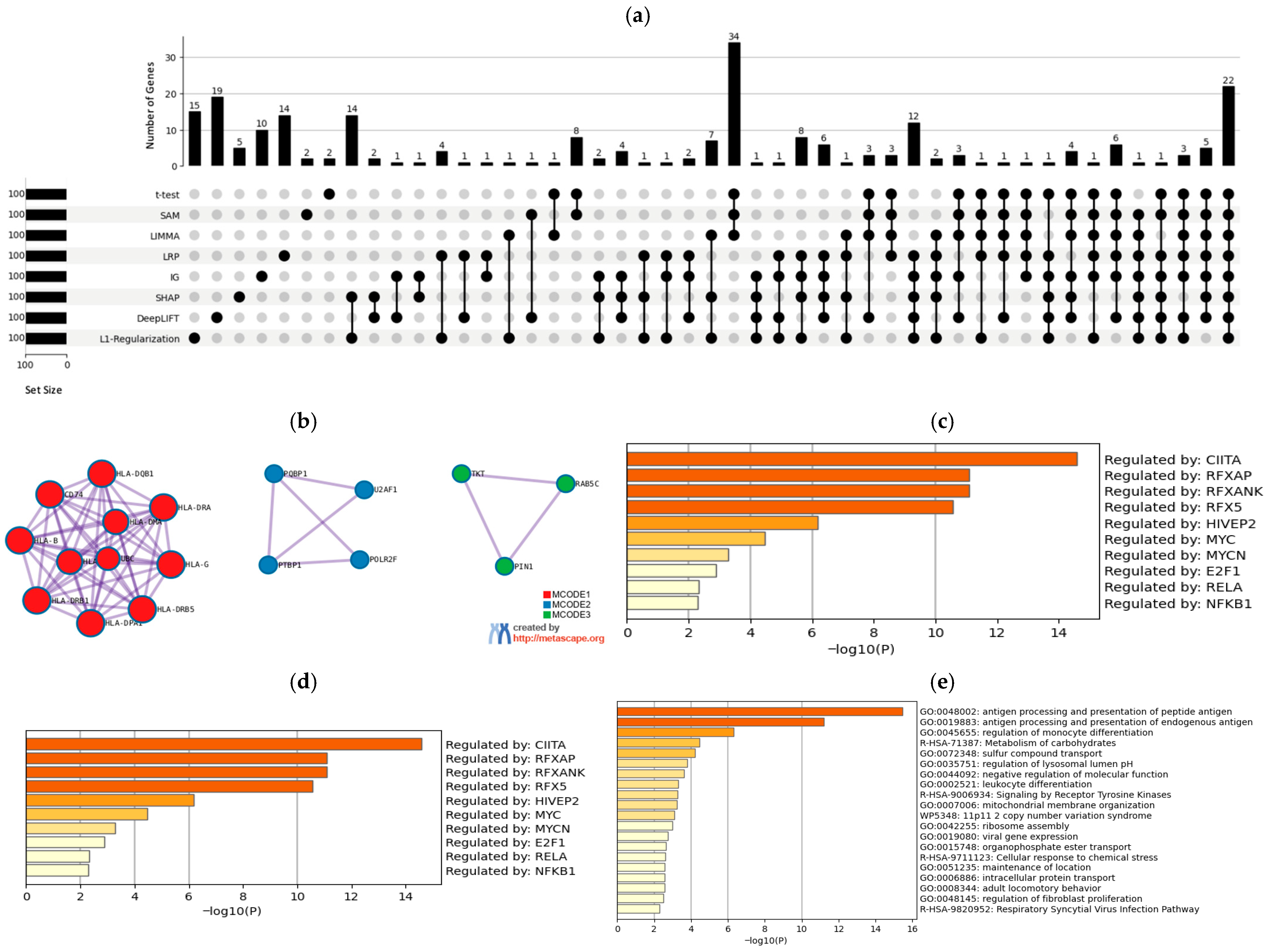 Mathematics 13 03334 g003