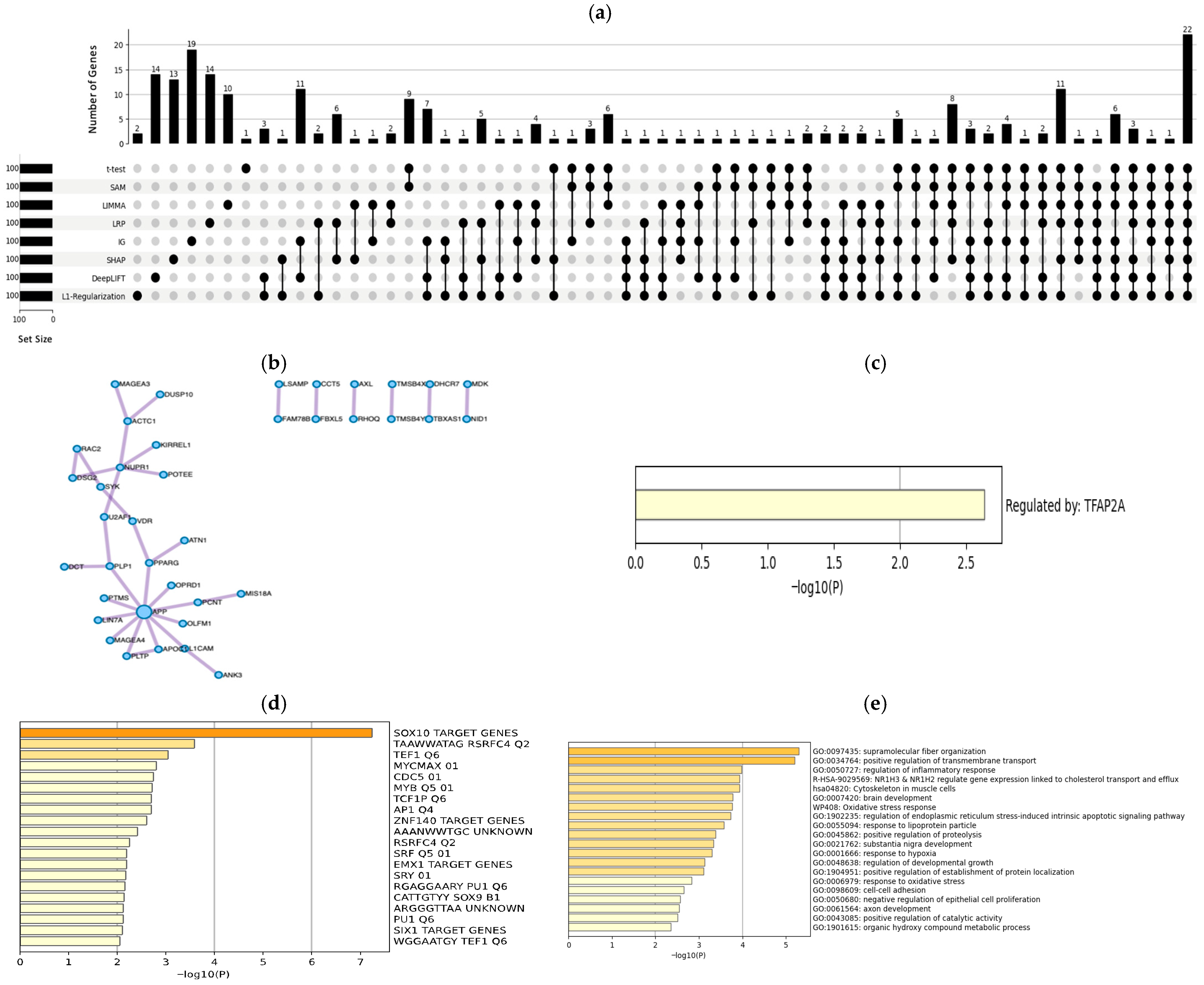 Mathematics 13 03334 g004