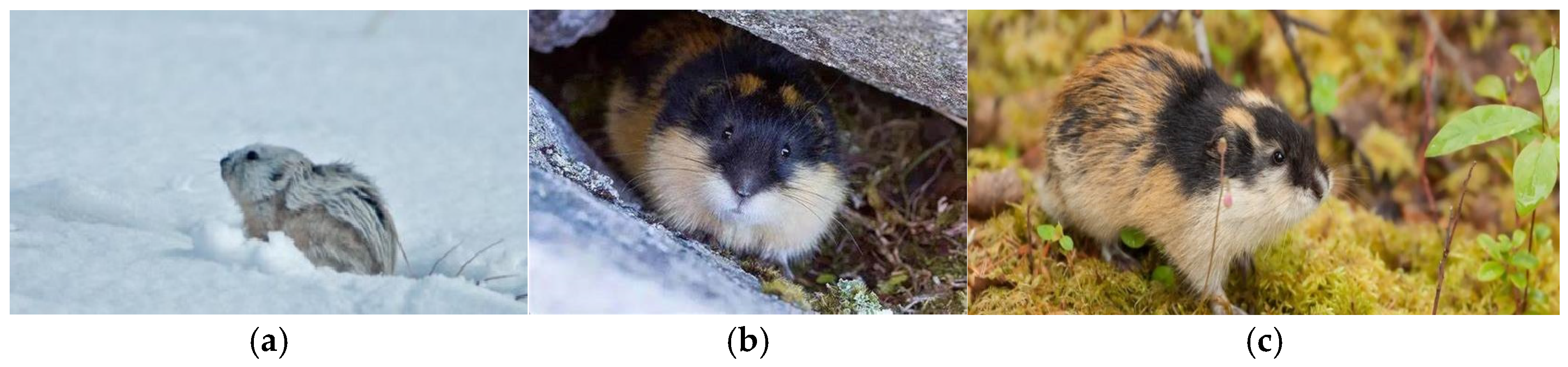 Mathematics 13 03533 g001