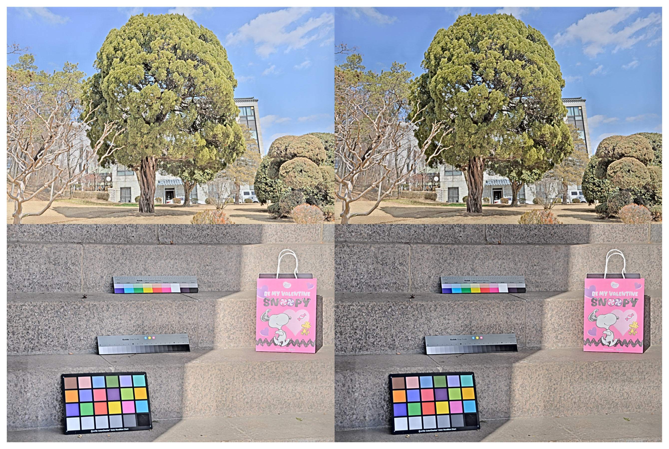 Mathematics 13 03629 g012