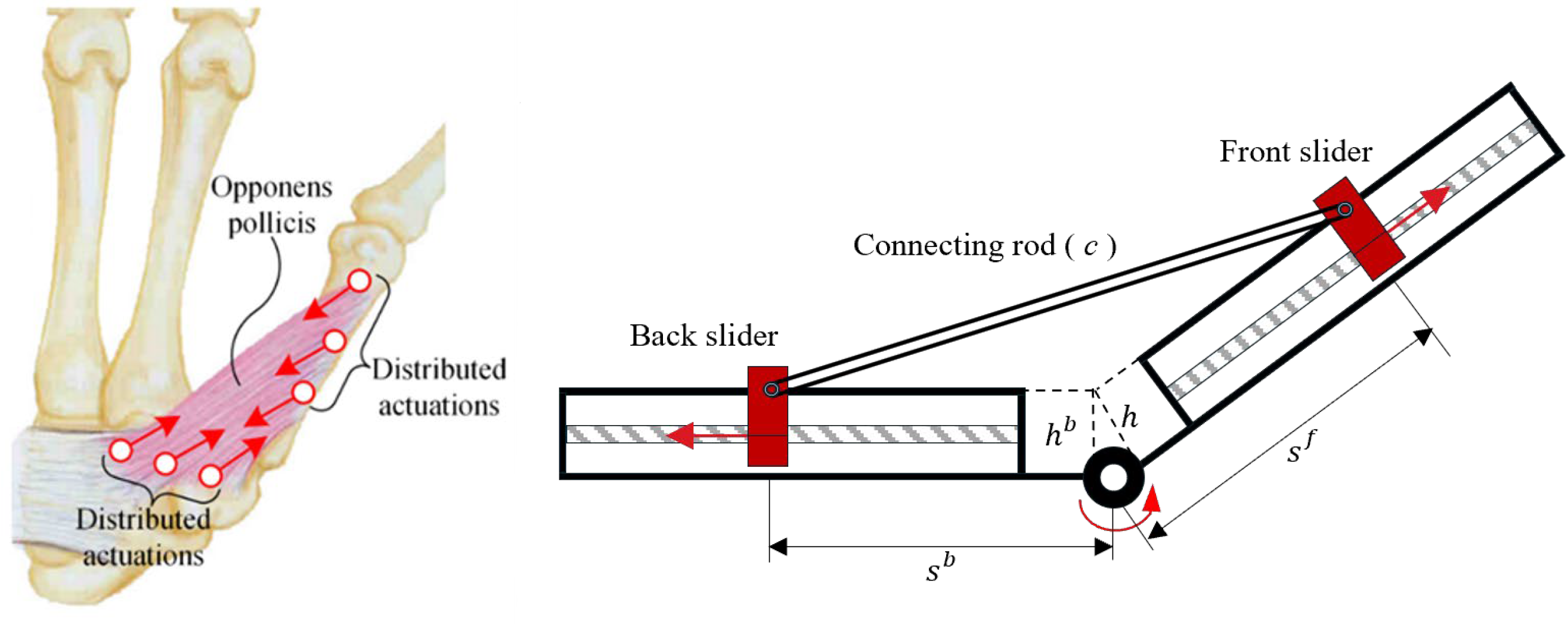 Mathematics 13 03773 g001 Mathematics 13 03773 g001
