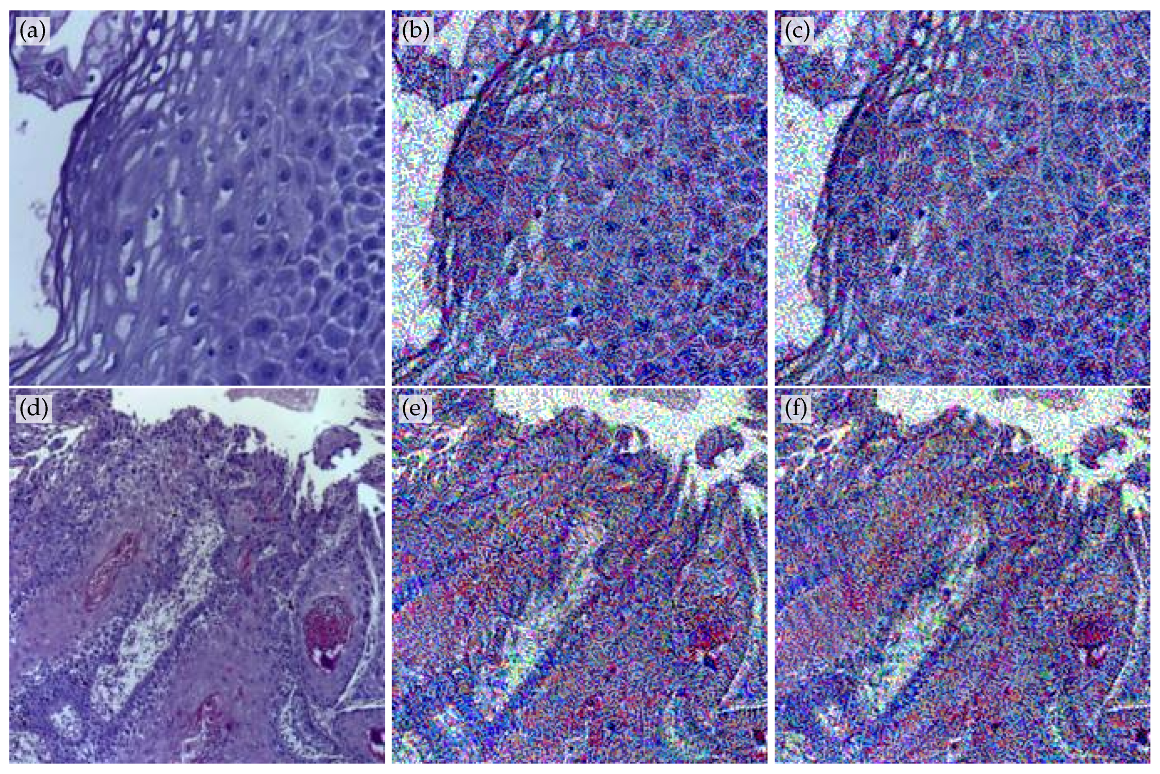 Mathematics 13 03785 g002
