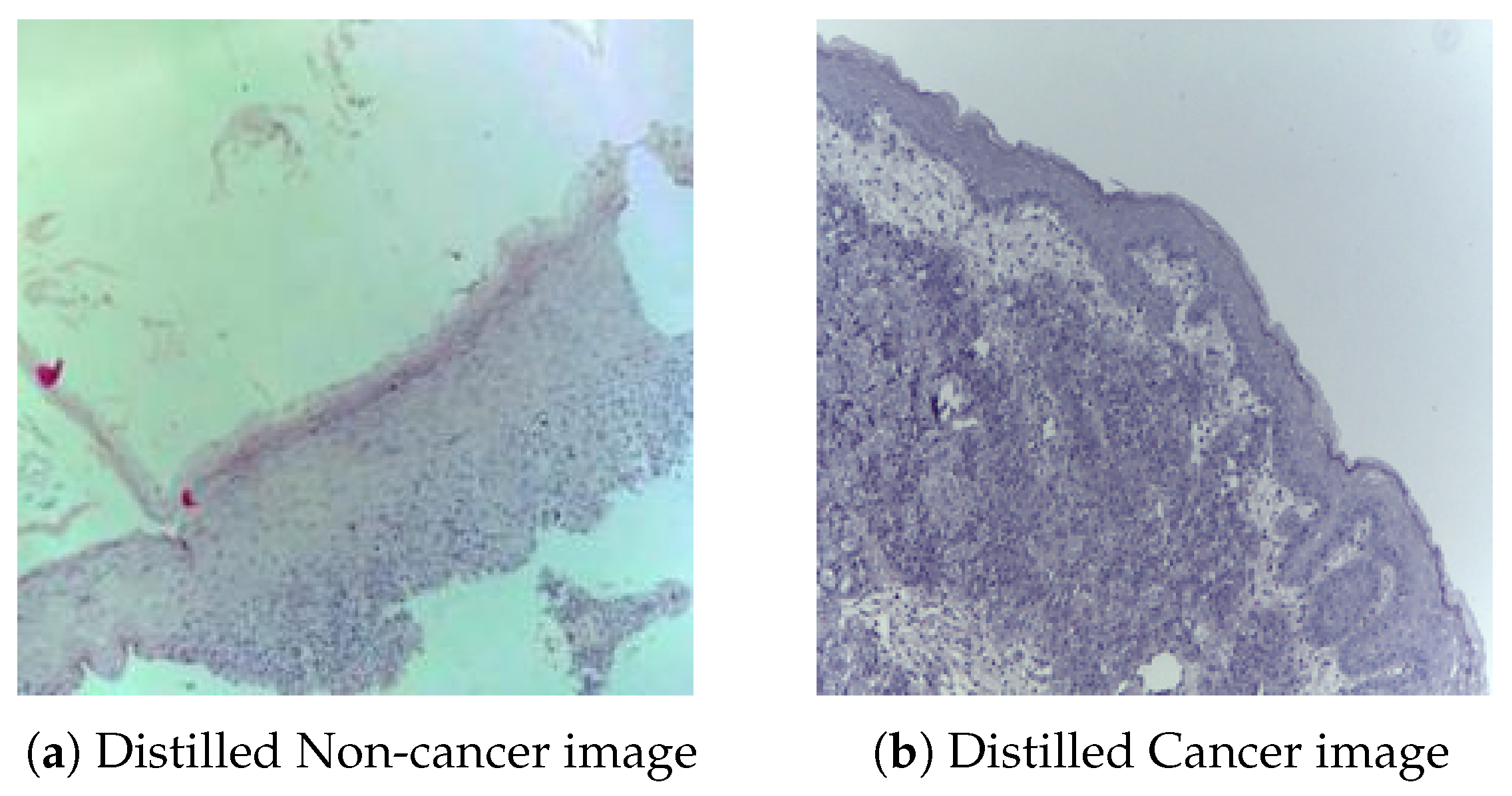 Mathematics 13 03785 g003