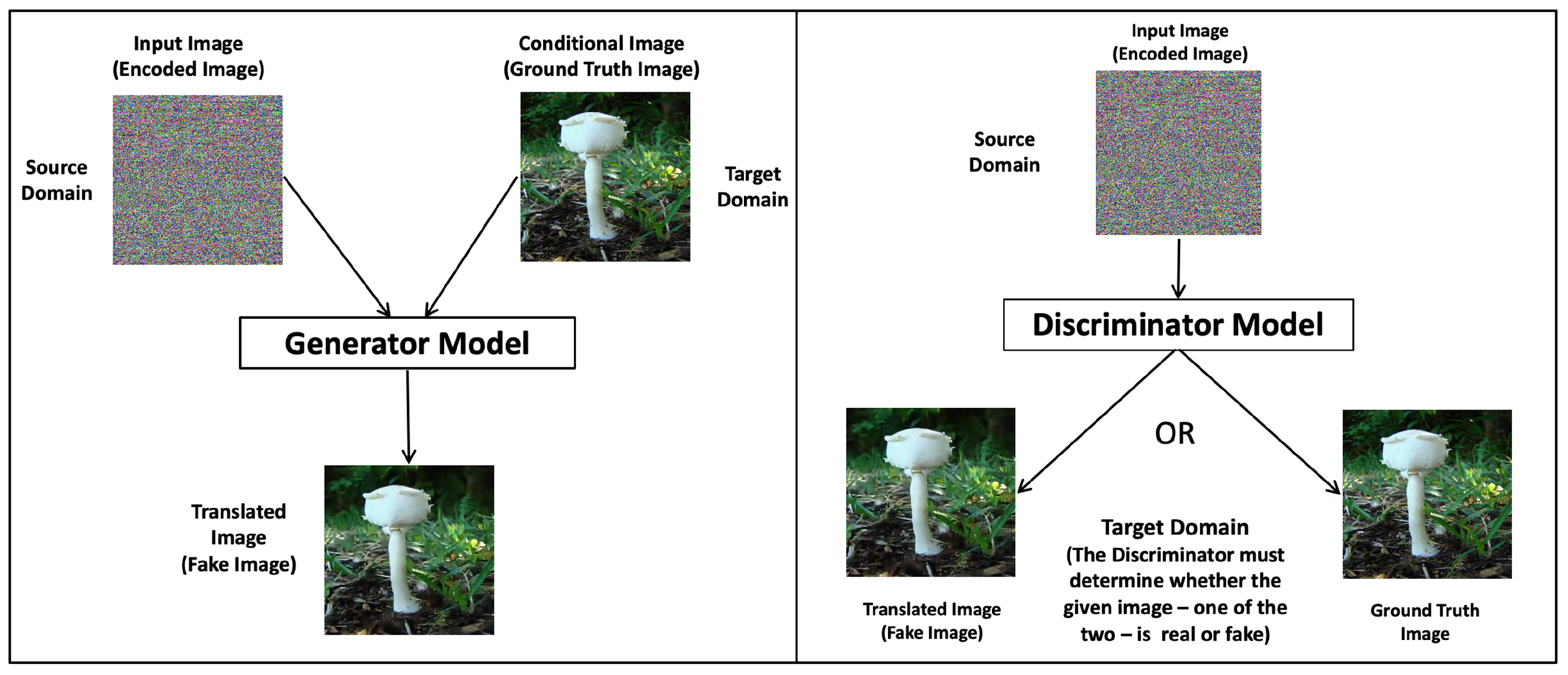 Mathematics 13 03788 g005