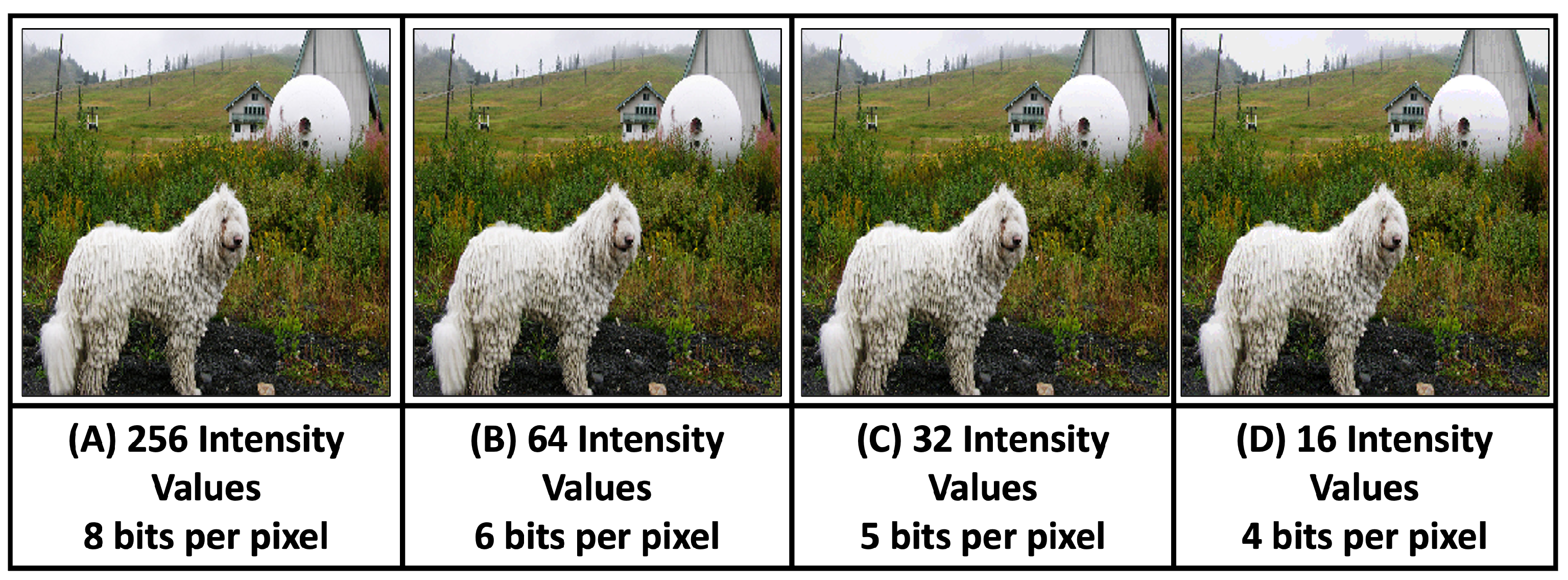 Mathematics 13 03788 g006