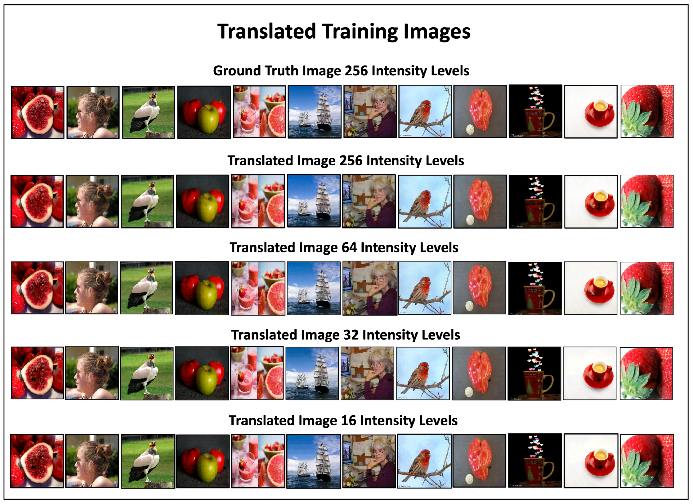Mathematics 13 03788 g008