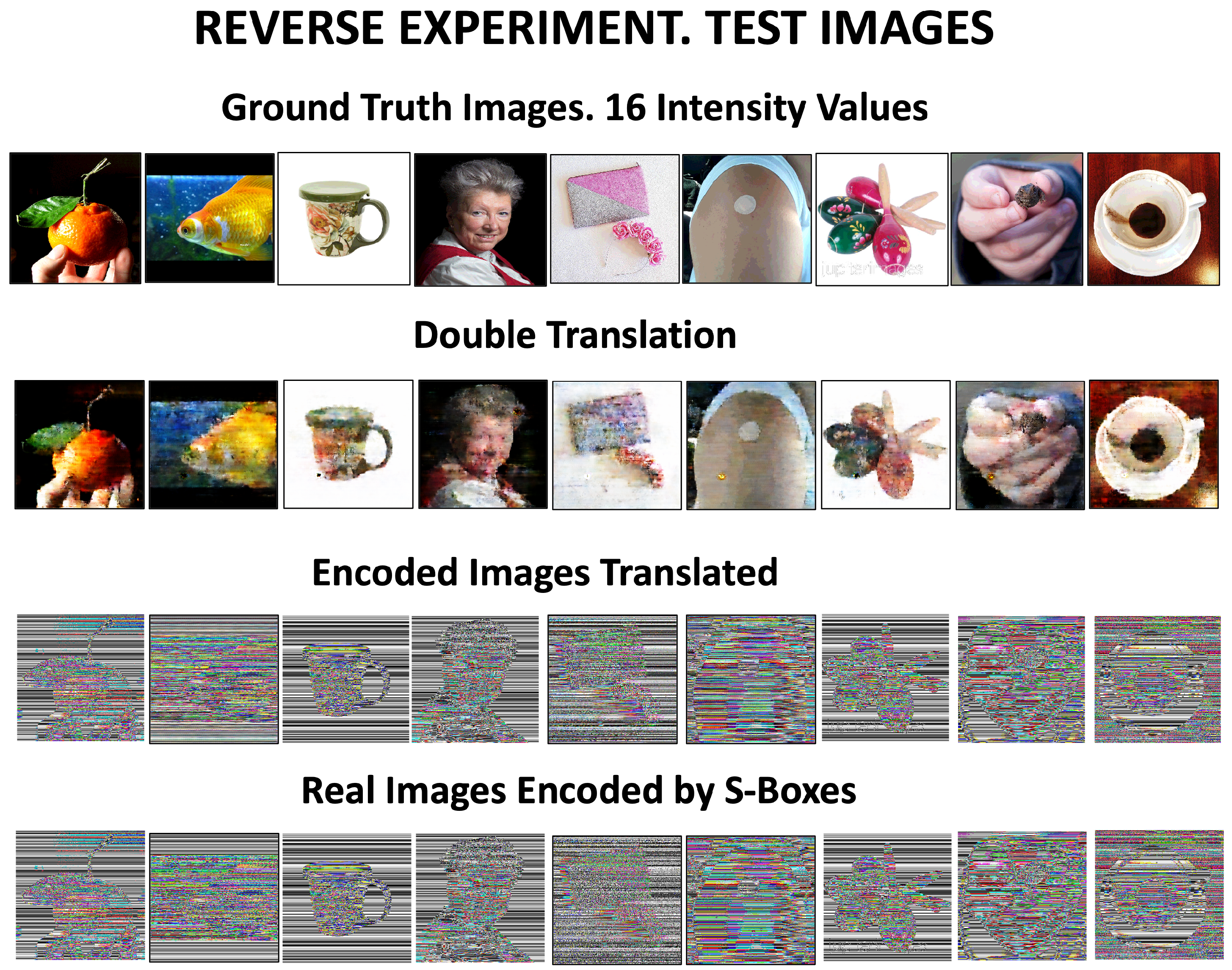 Mathematics 13 03788 g013