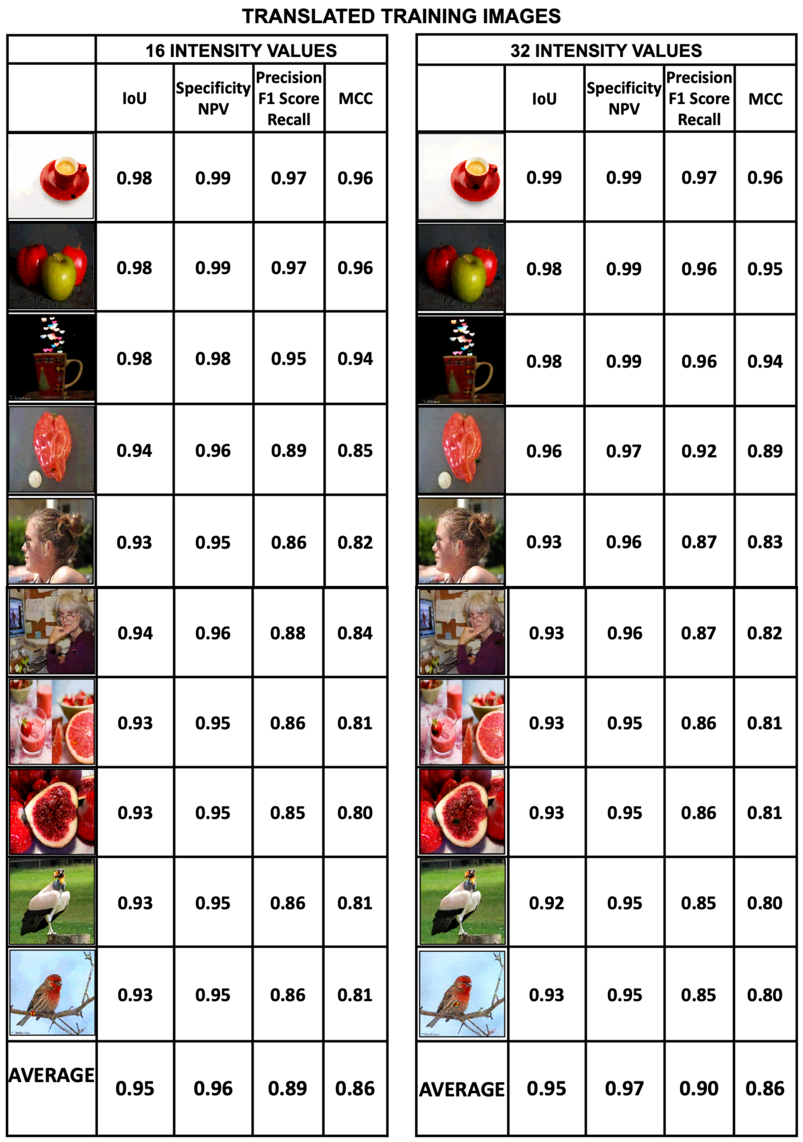 Mathematics 13 03788 g019