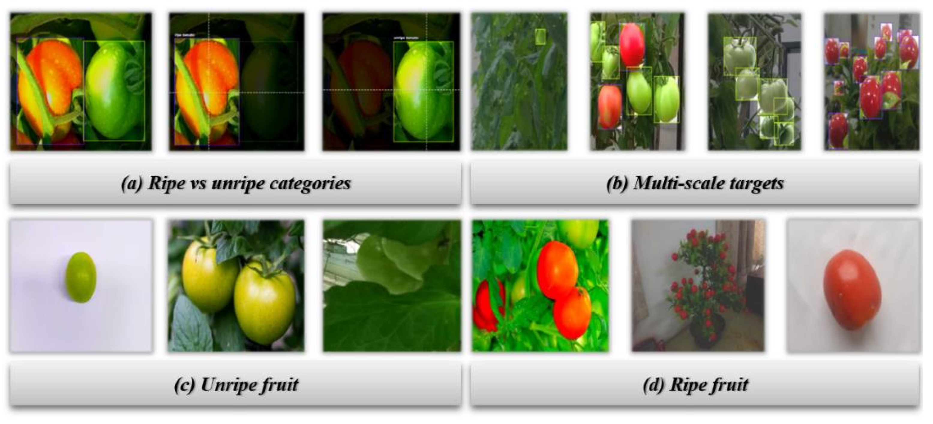 Mathematics 13 03790 g002 Mathematics 13 03790 g002