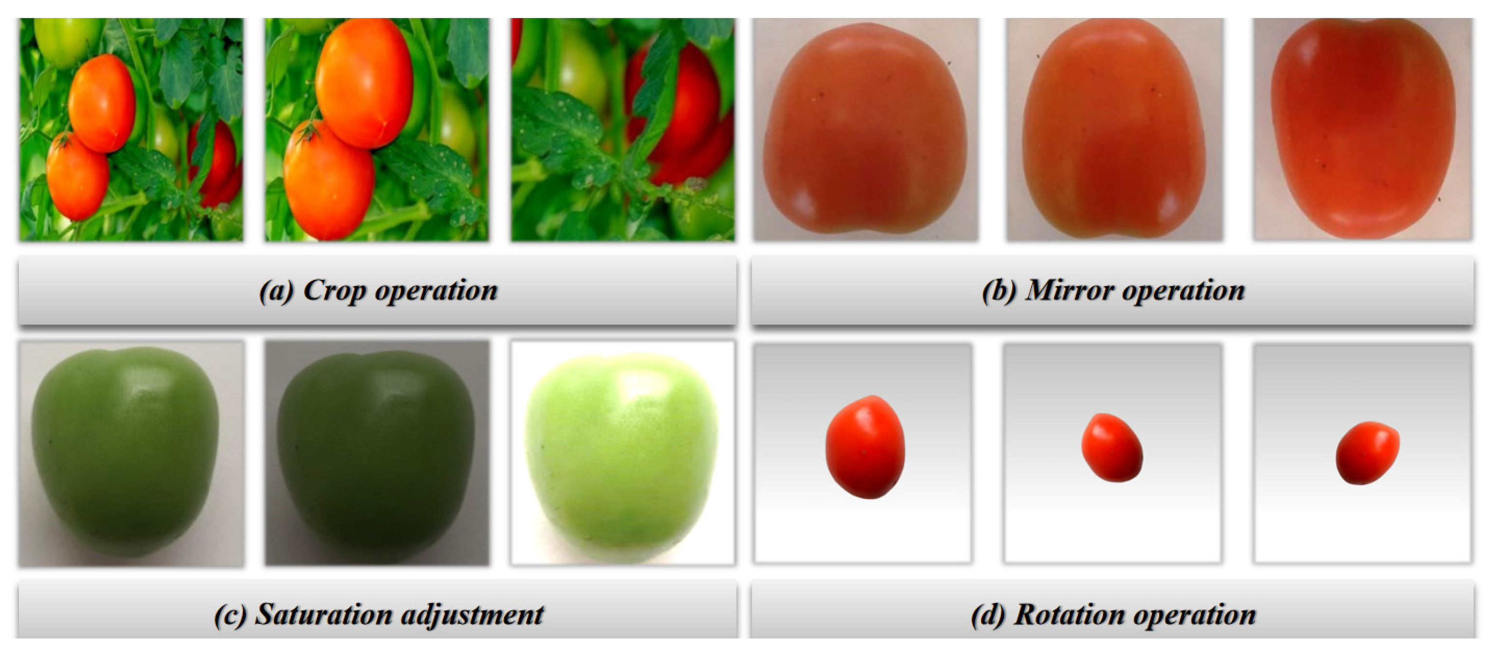 Mathematics 13 03790 g006 Mathematics 13 03790 g006
