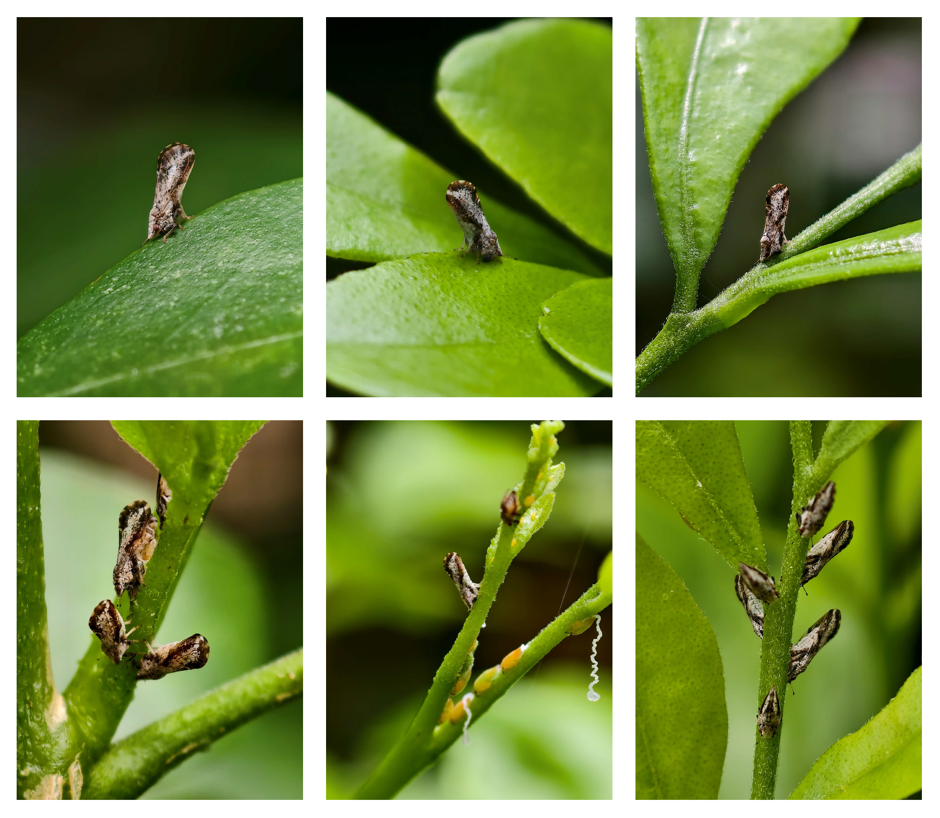 Mathematics 13 03836 g001