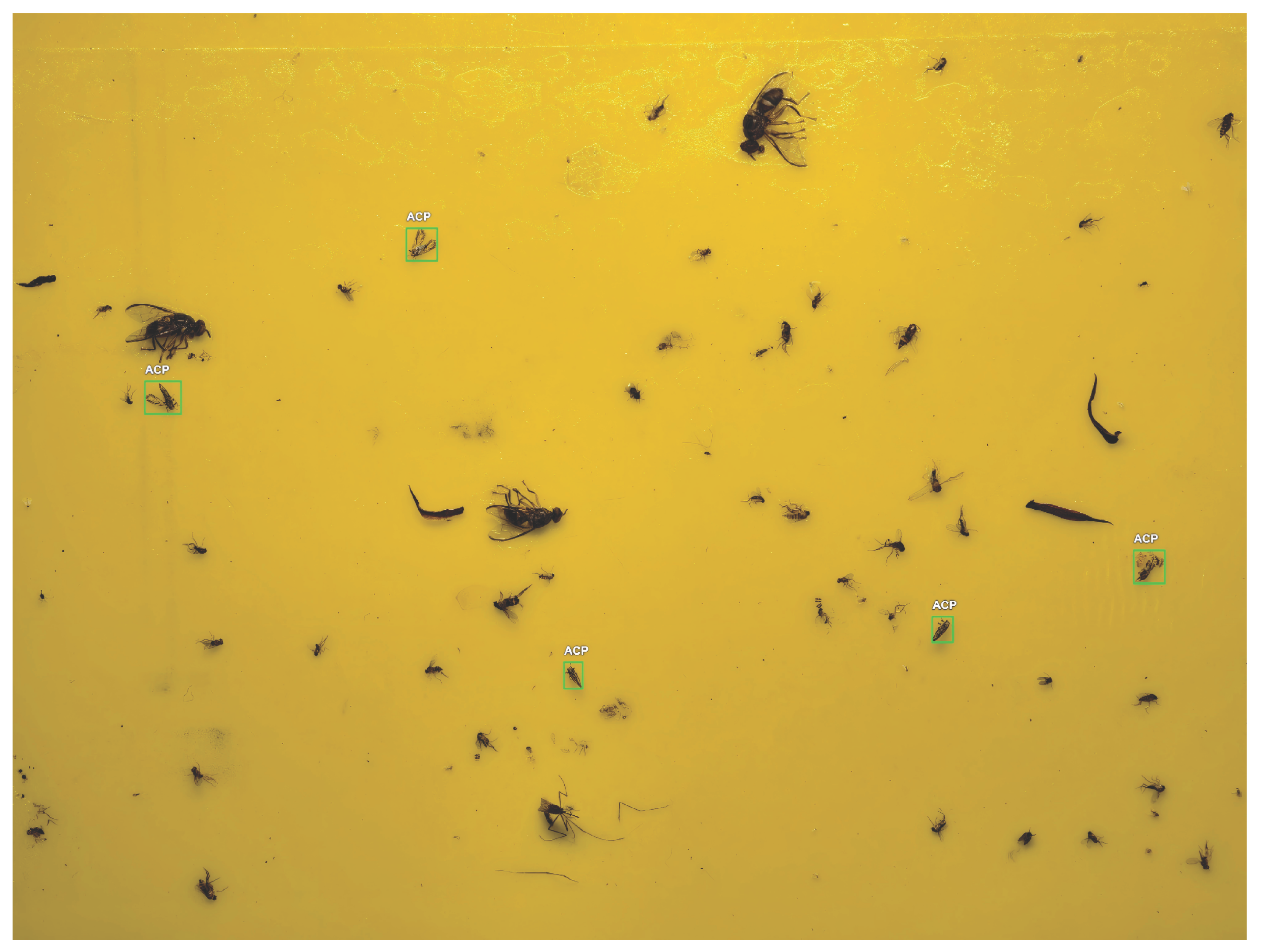 Mathematics 13 03836 g002