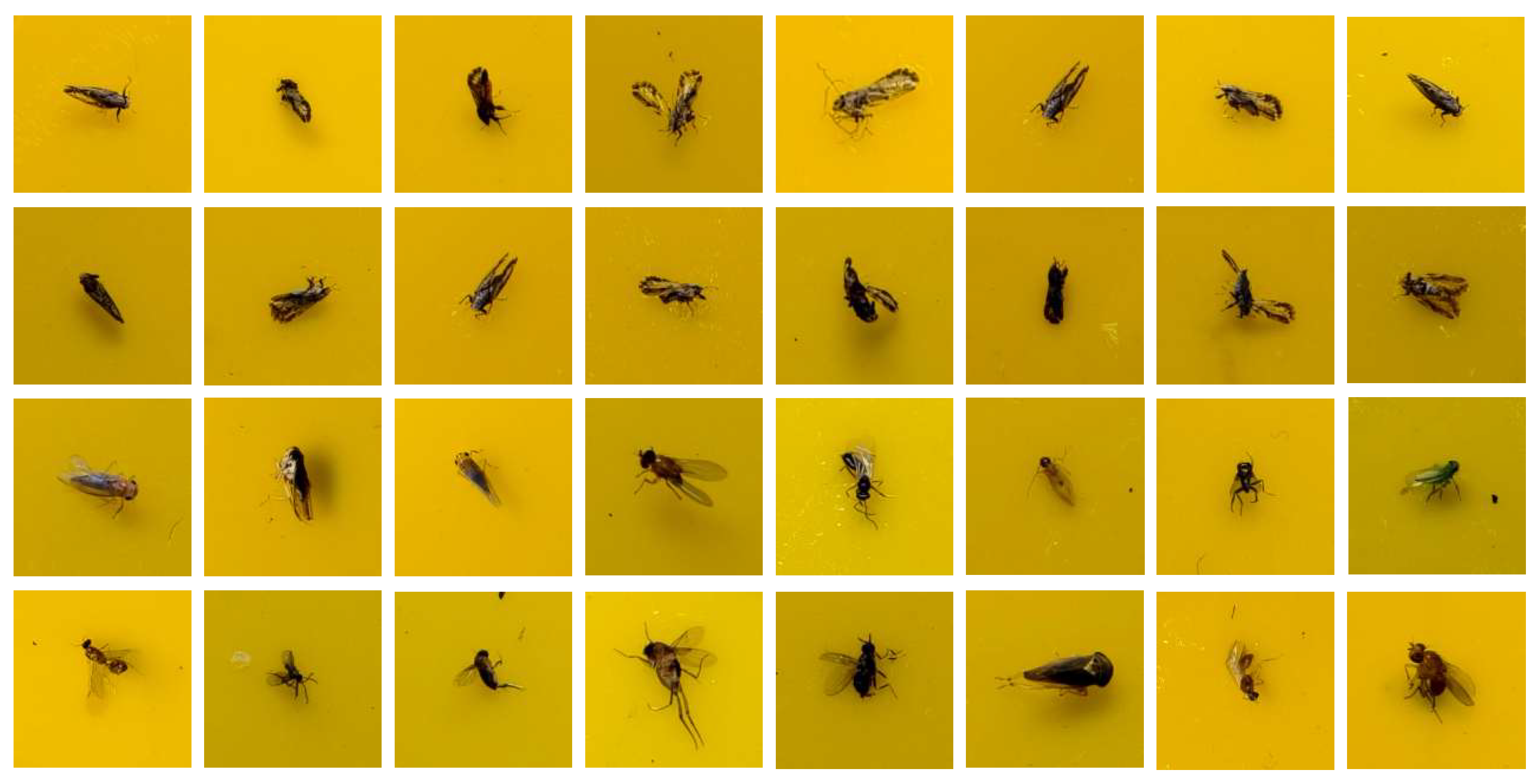 Mathematics 13 03836 g003