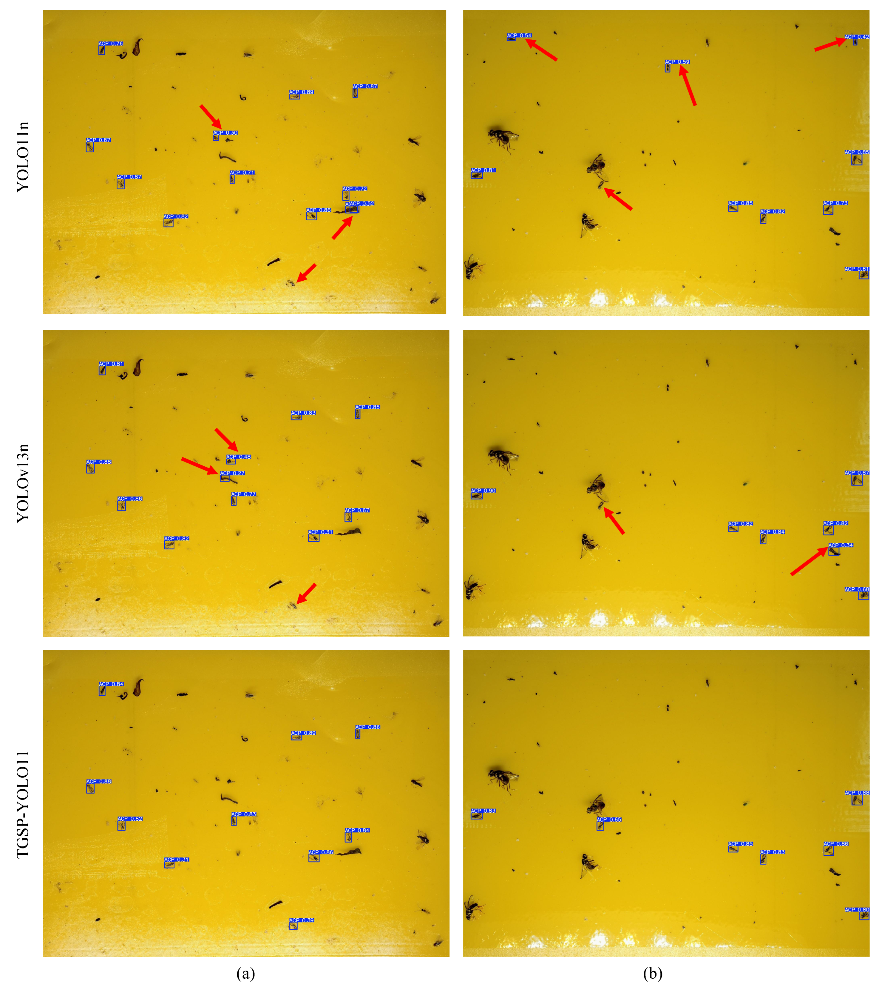 Mathematics 13 03836 g013