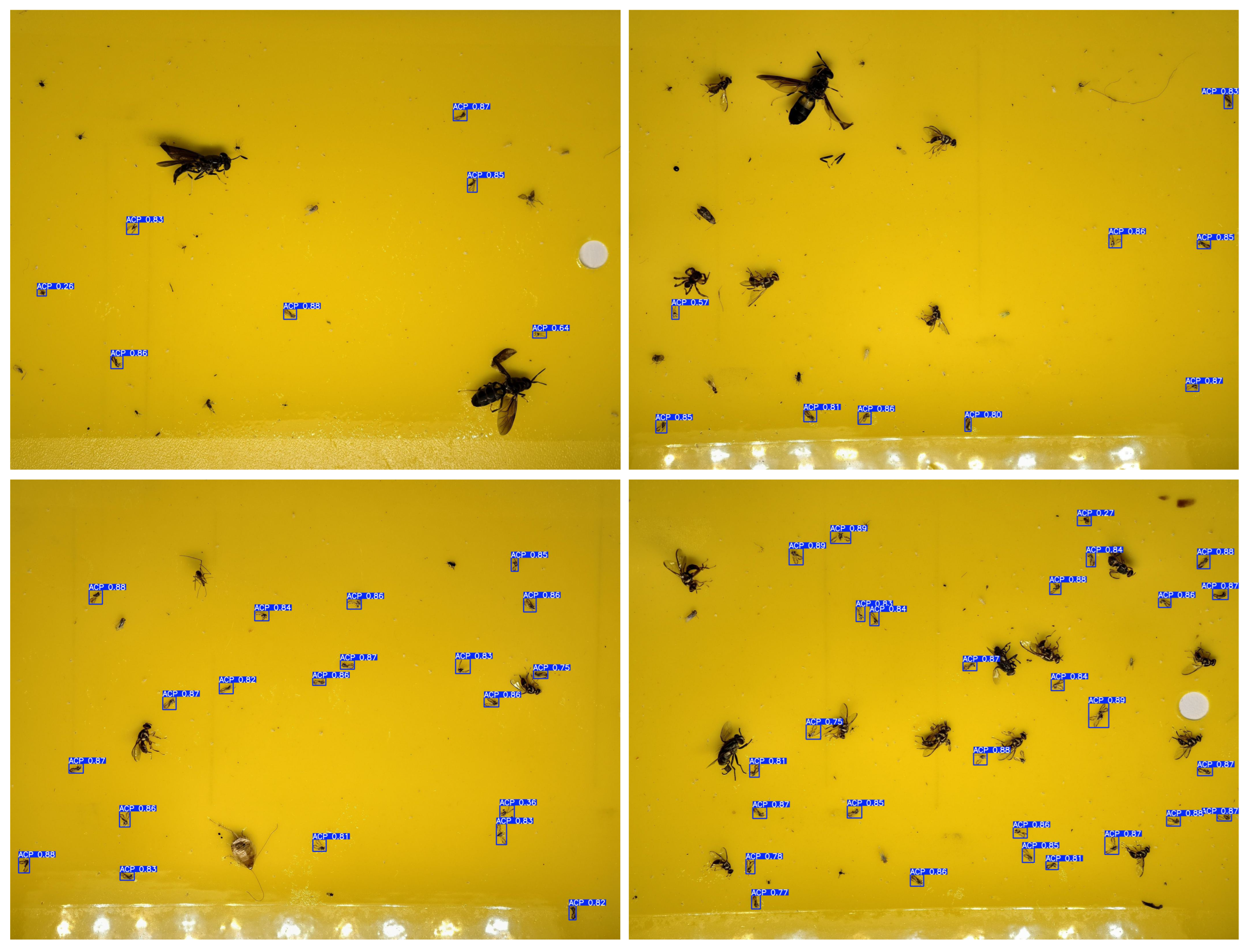 Mathematics 13 03836 g014