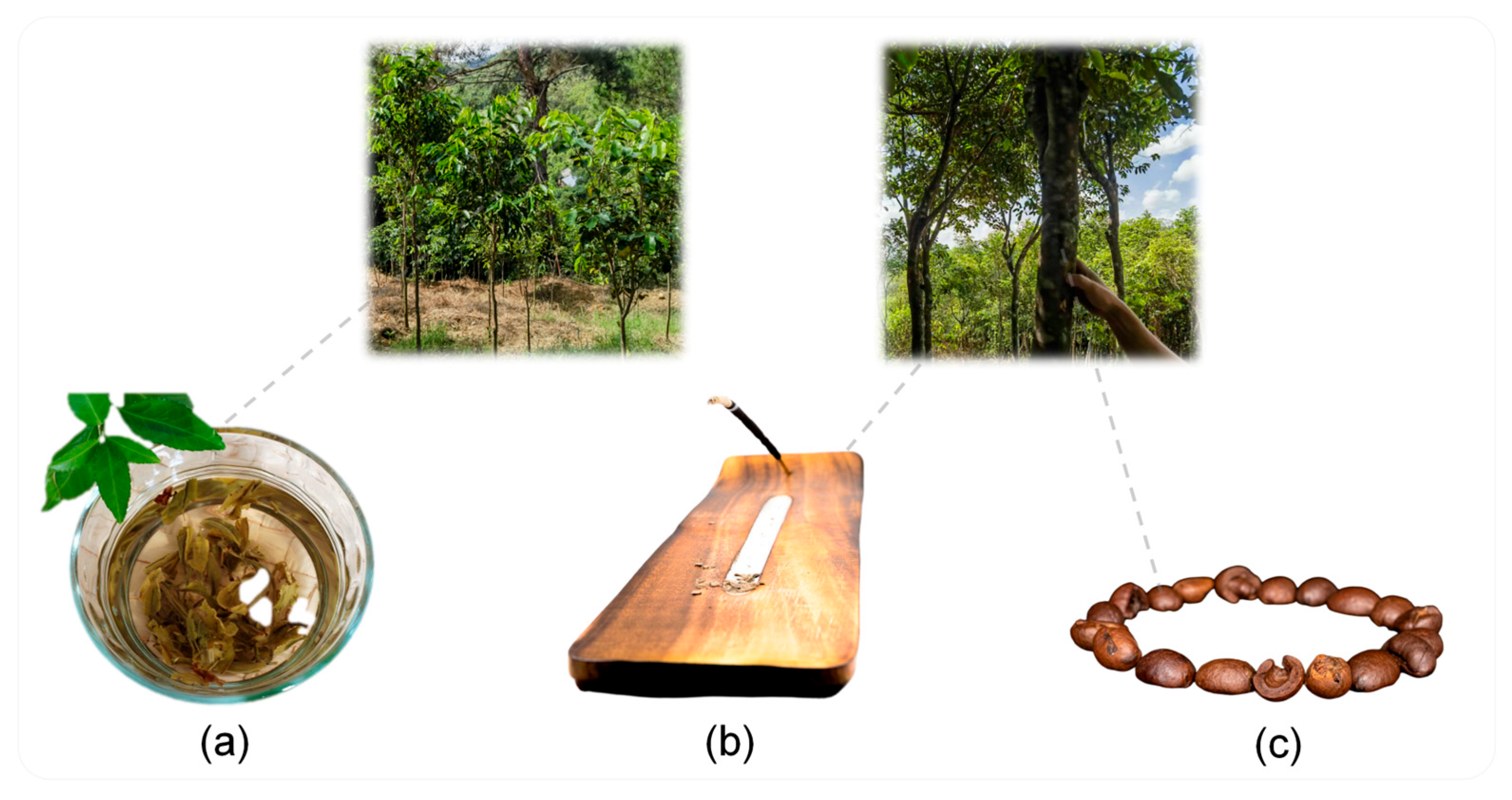 Mathematics 13 03937 g001