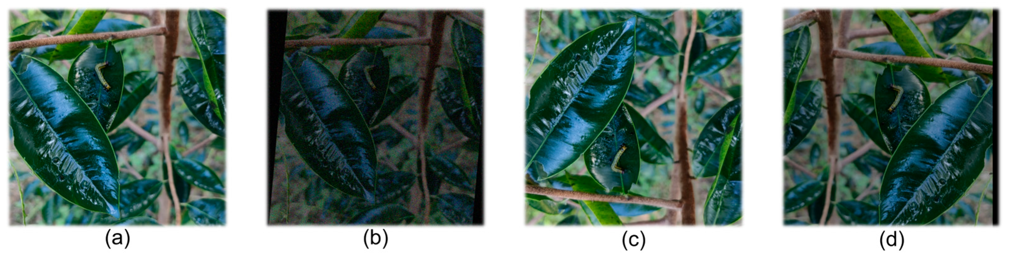 Mathematics 13 03937 g004