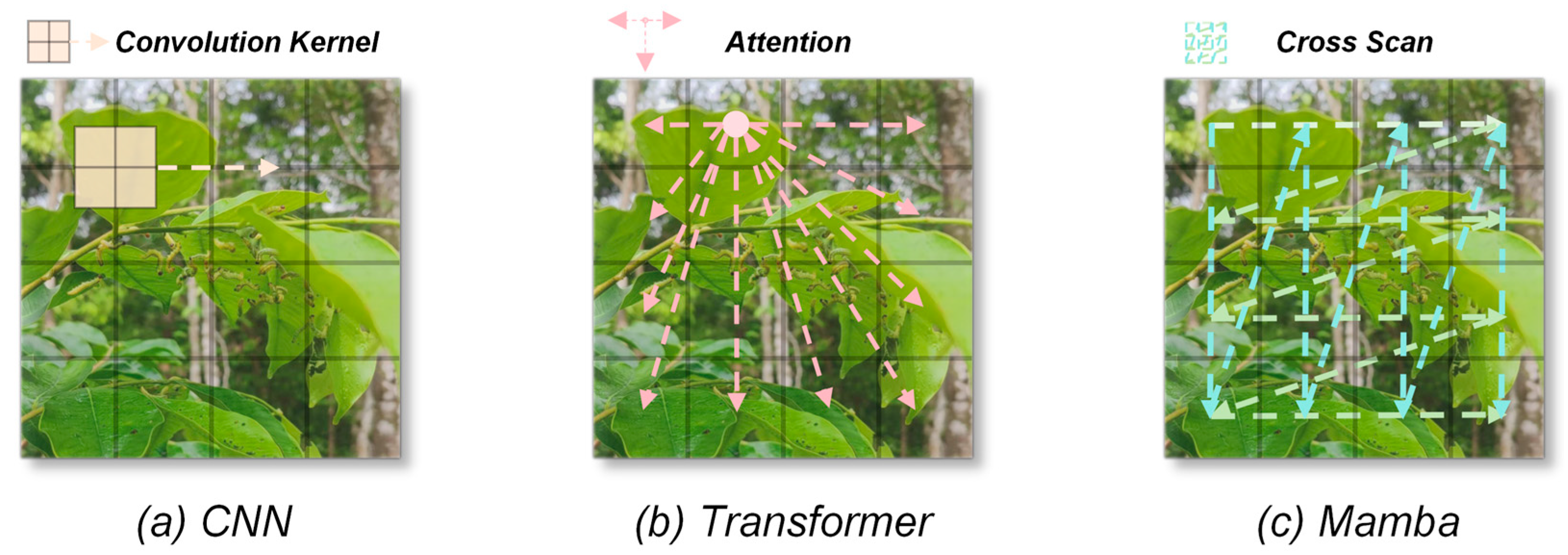 Mathematics 13 03937 g005