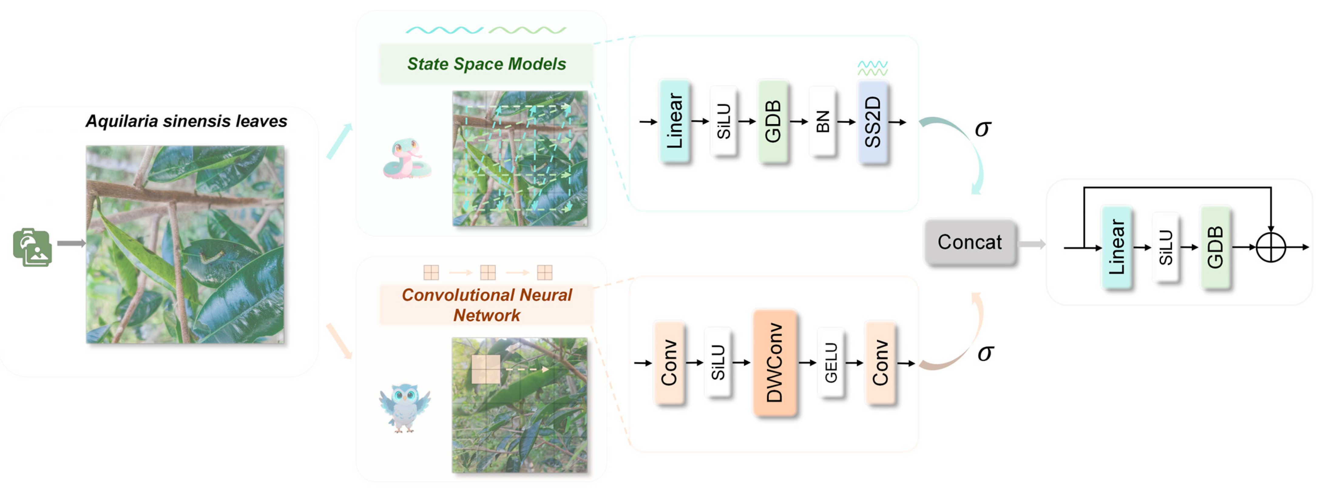Mathematics 13 03937 g007