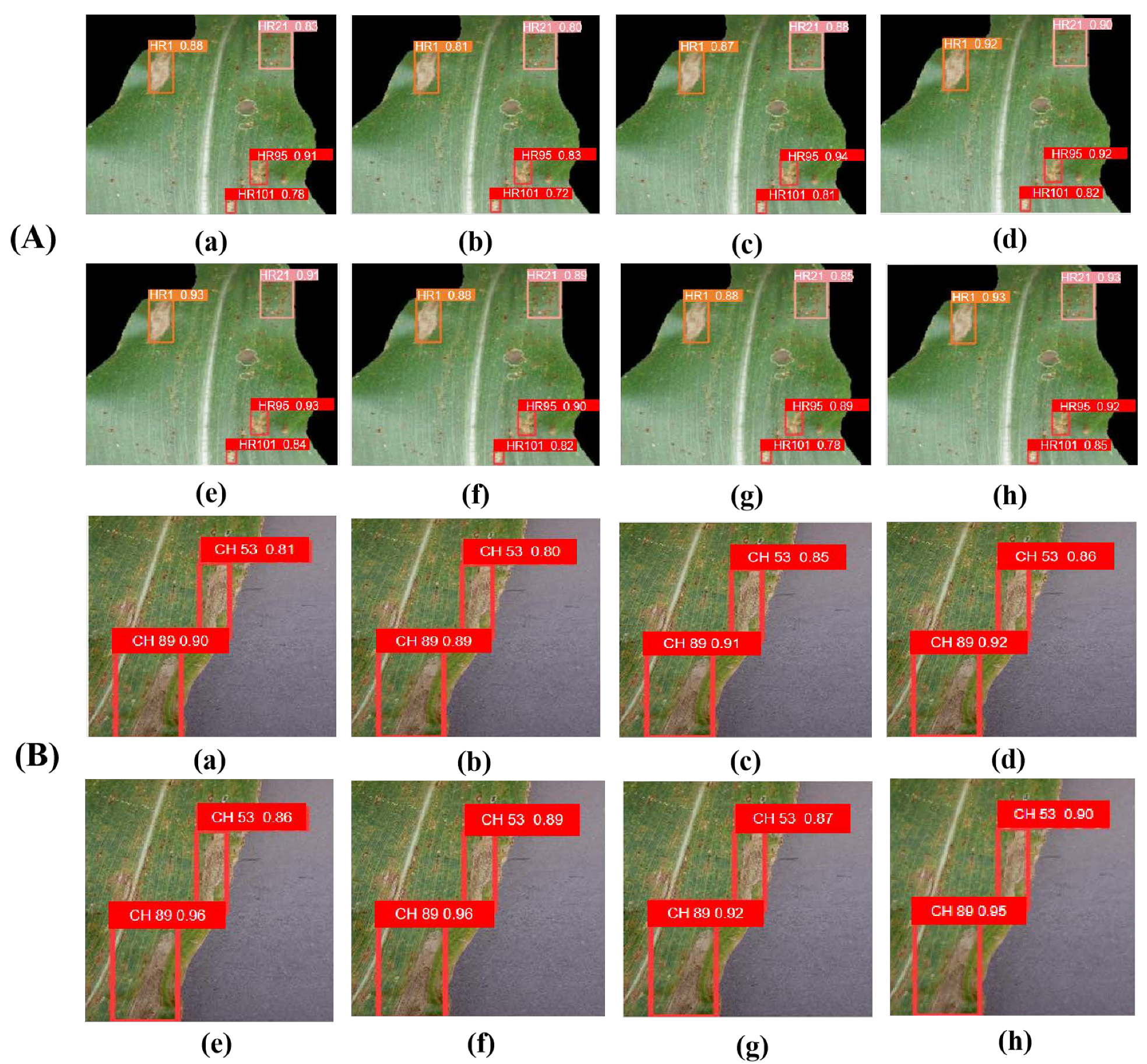 Mathematics 13 04002 g010 Mathematics 13 04002 g010