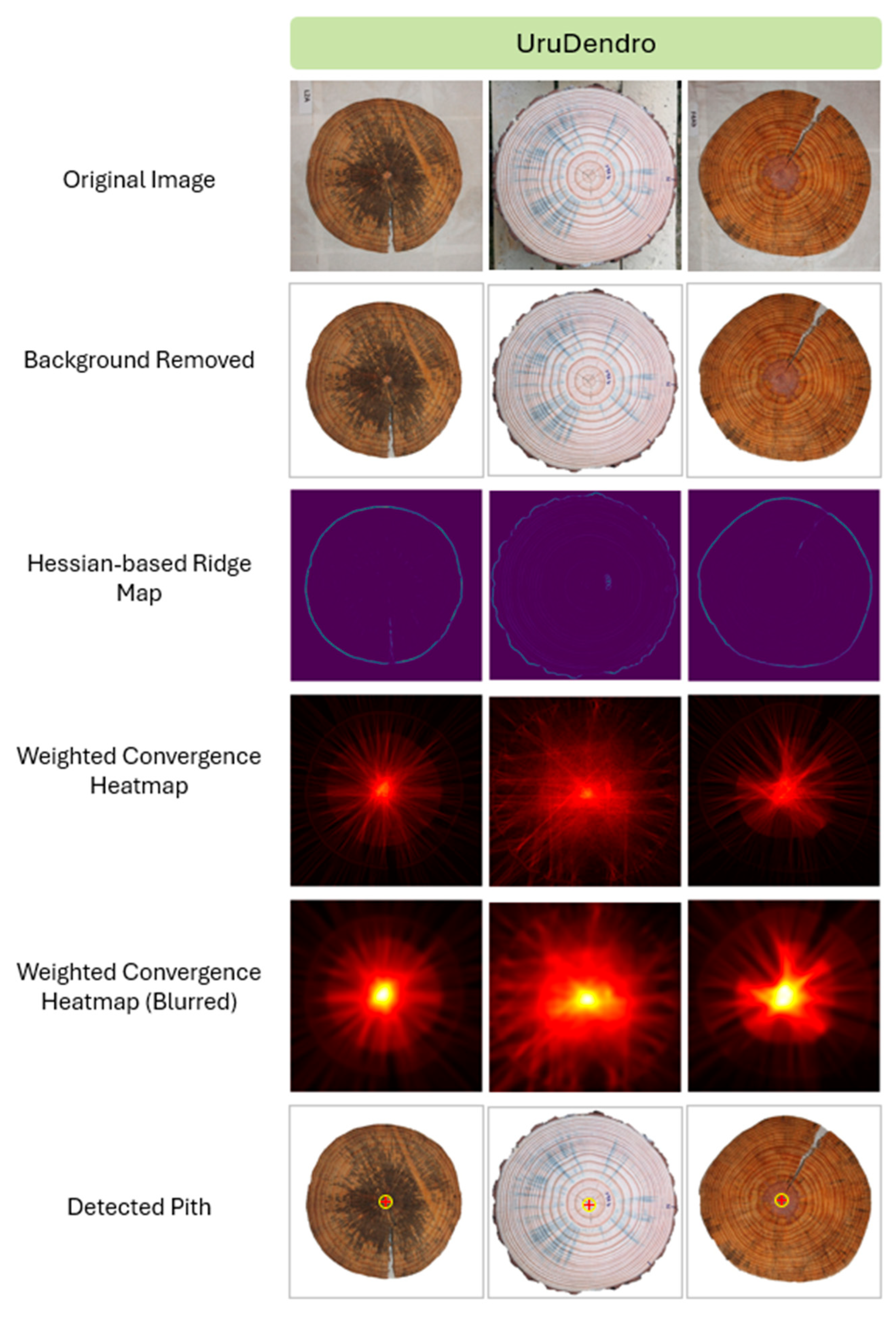 Mathematics 14 00094 g005