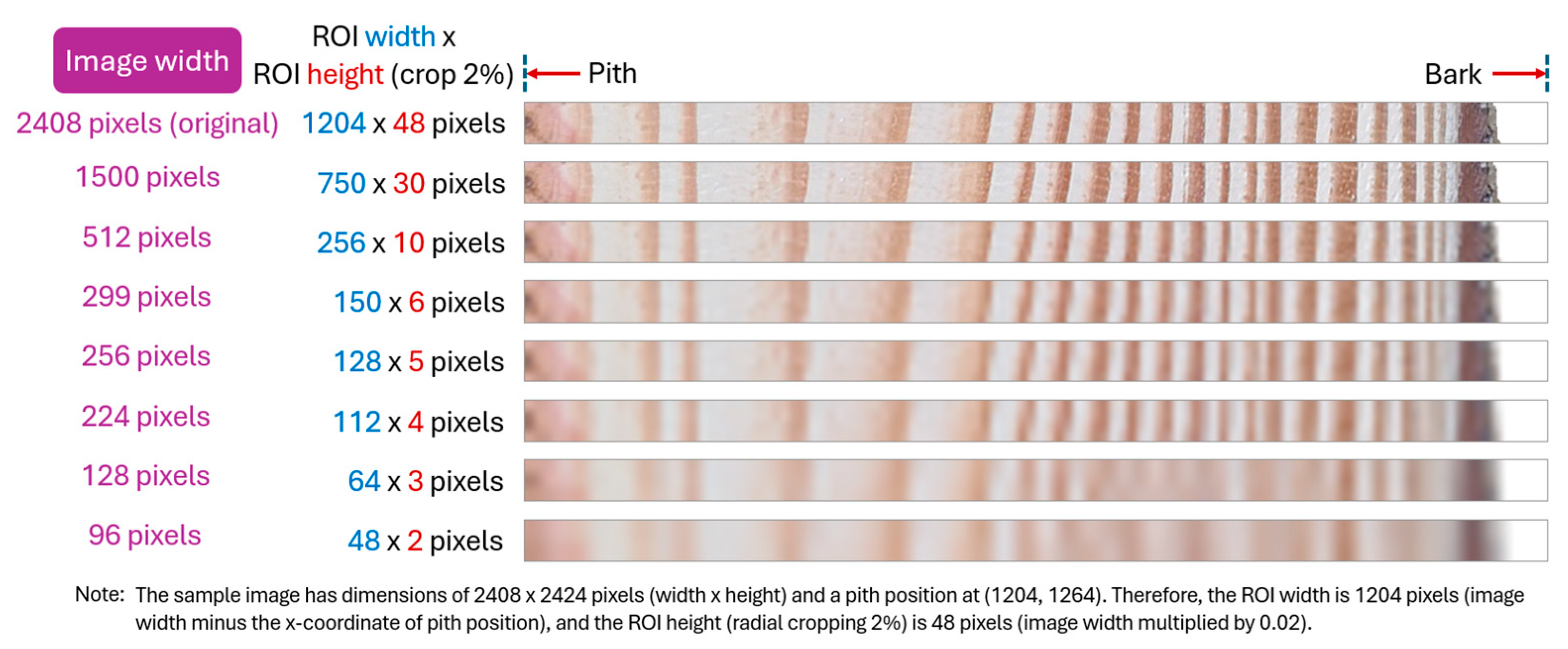 Mathematics 14 00094 g014