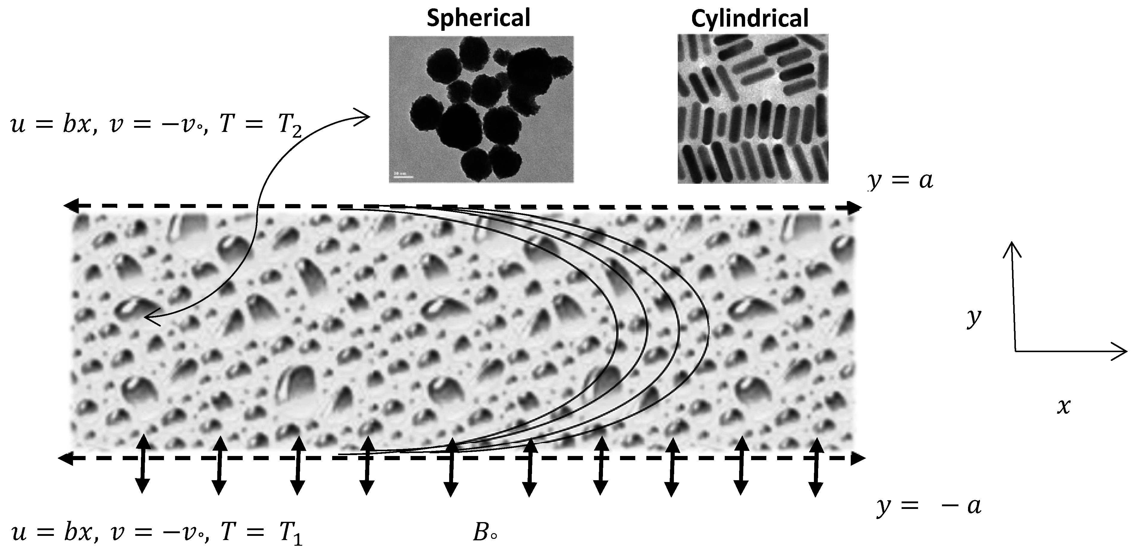 Mca 21 00043 g001 550
