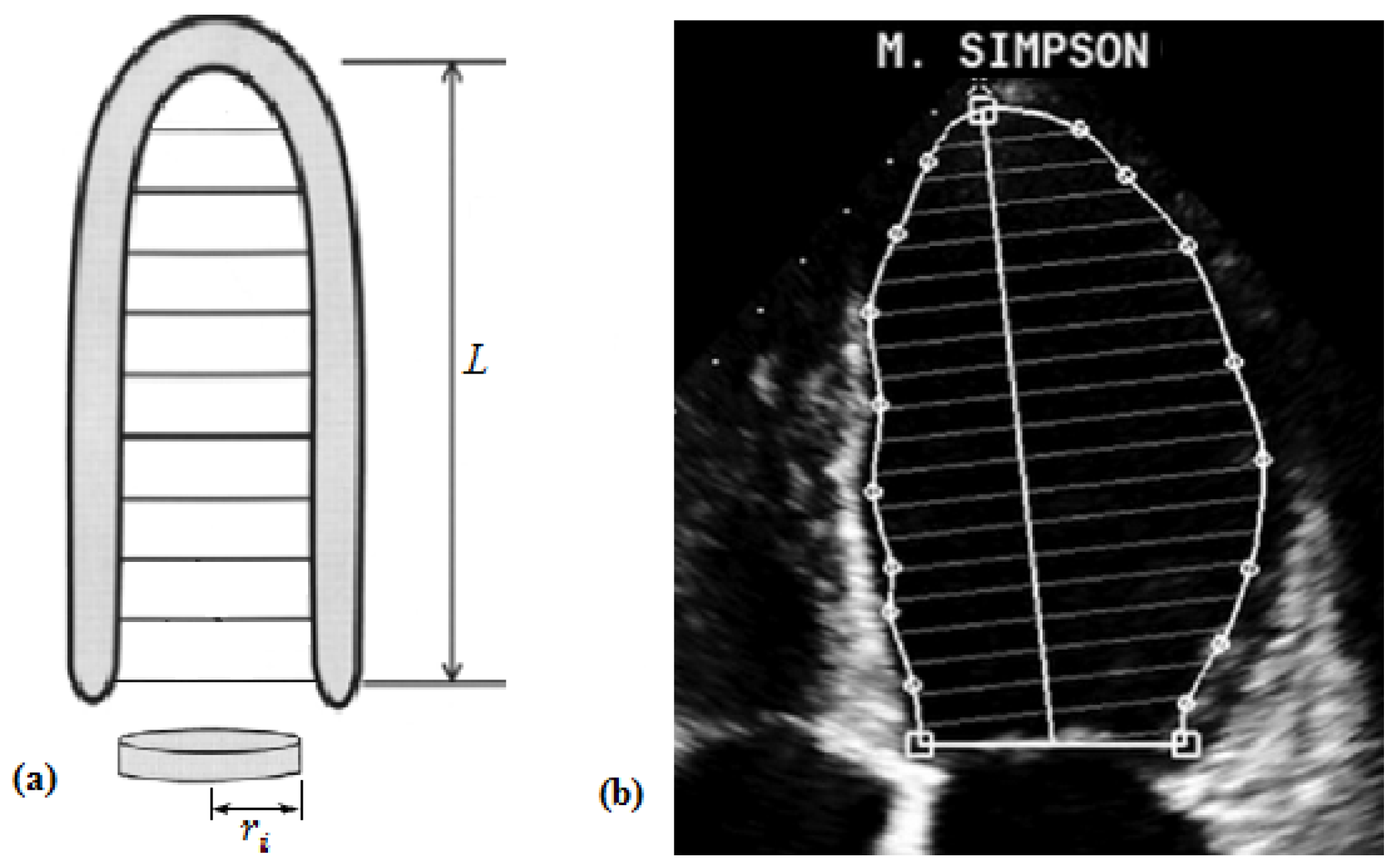 Mca 23 00050 g001 Mca 23 00050 g001