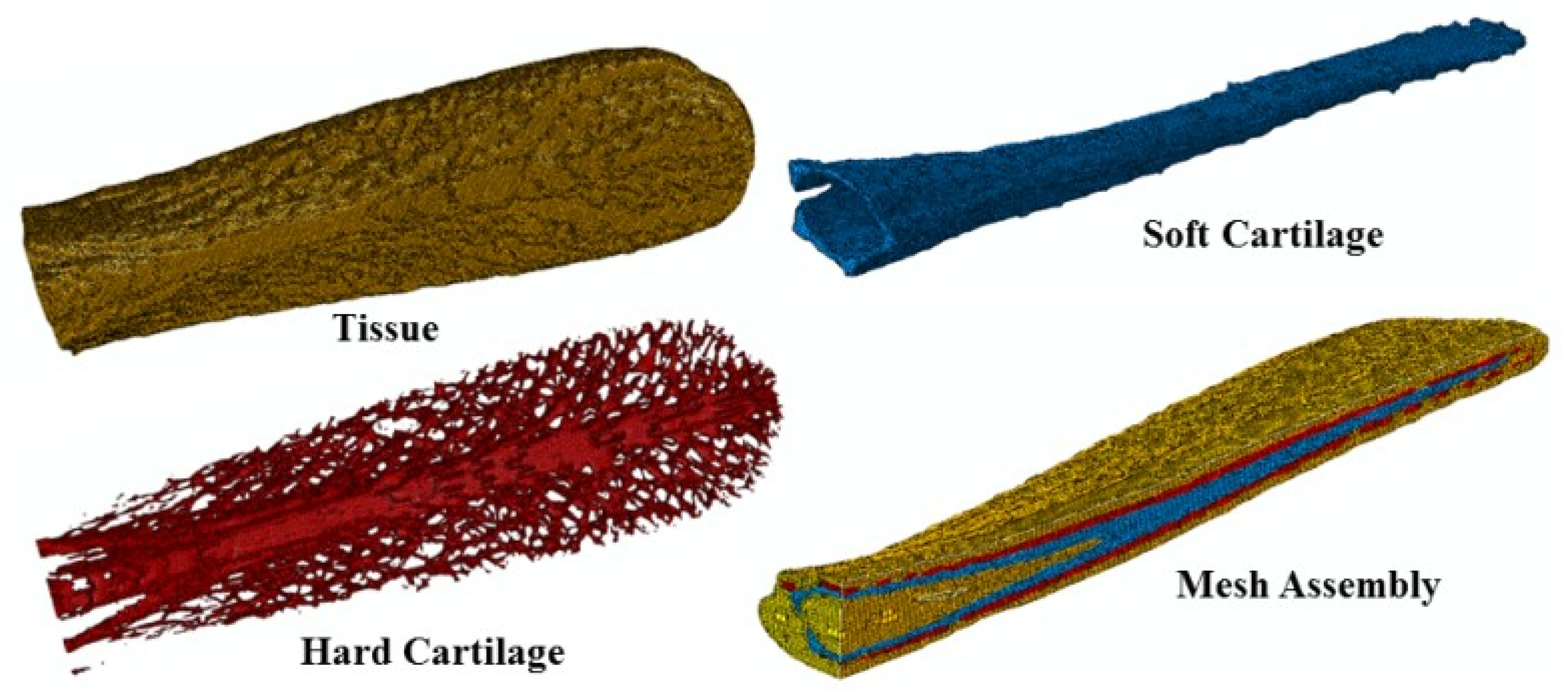 Mca 24 00047 g011 Mca 24 00047 g011
