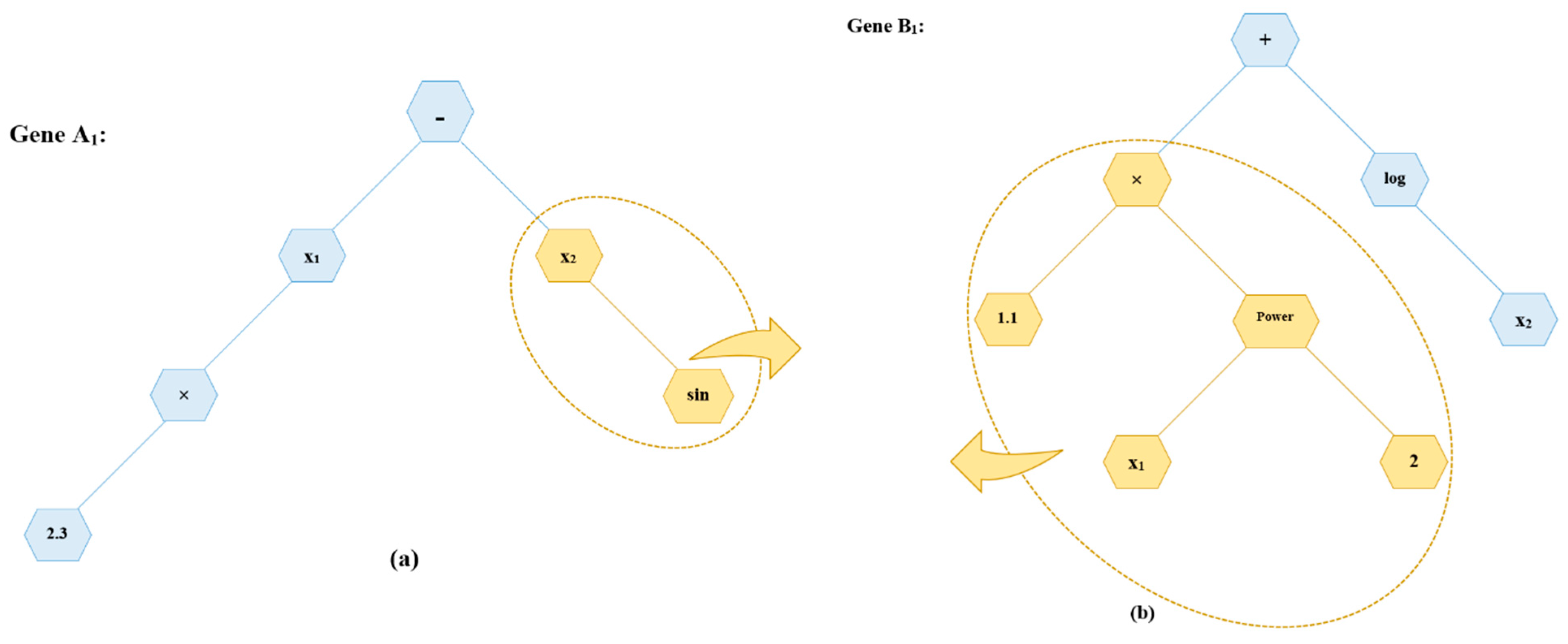 Mca 26 00006 g005a Mca 26 00006 g005a