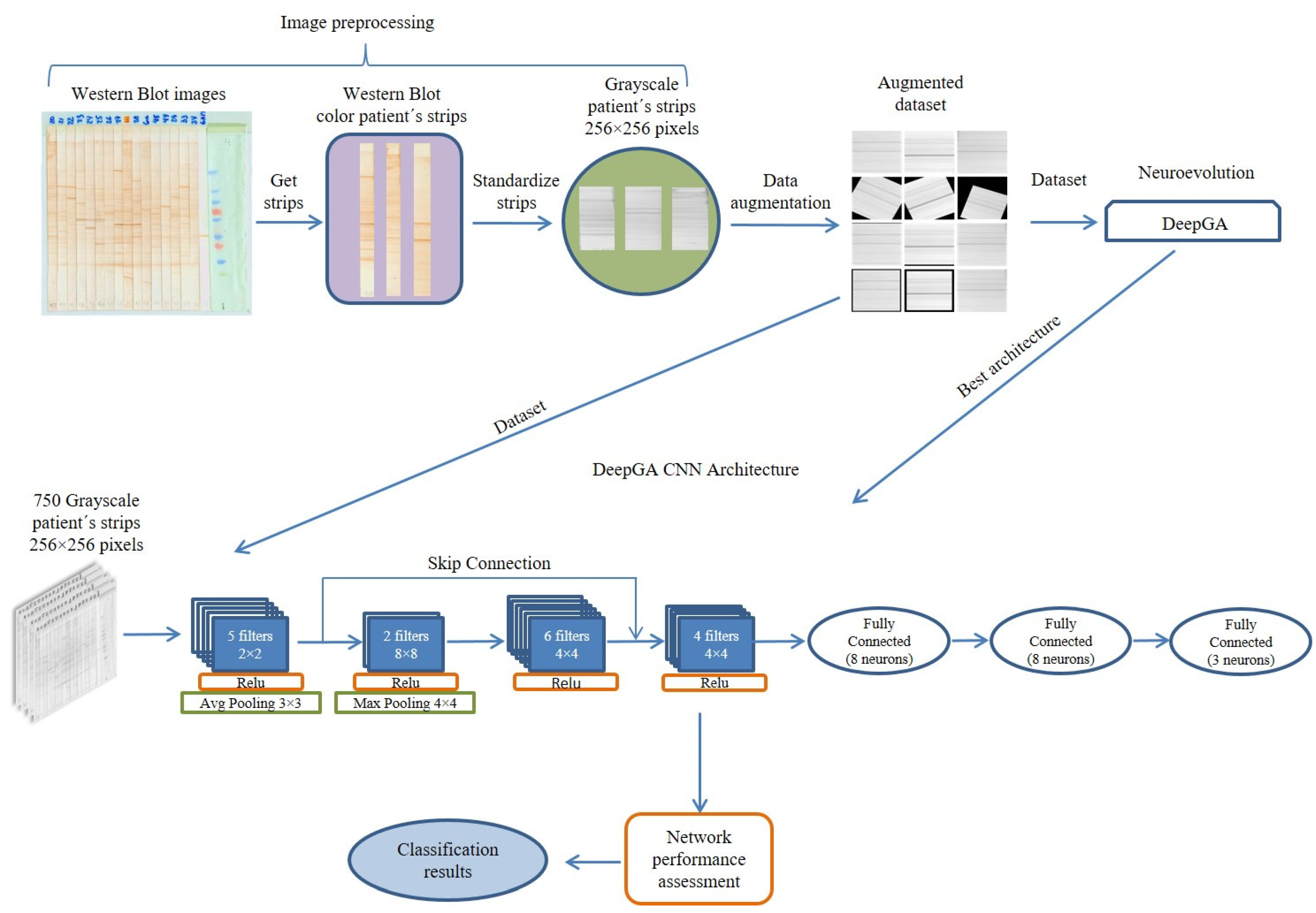 Mca 28 00072 g001 Mca 28 00072 g001