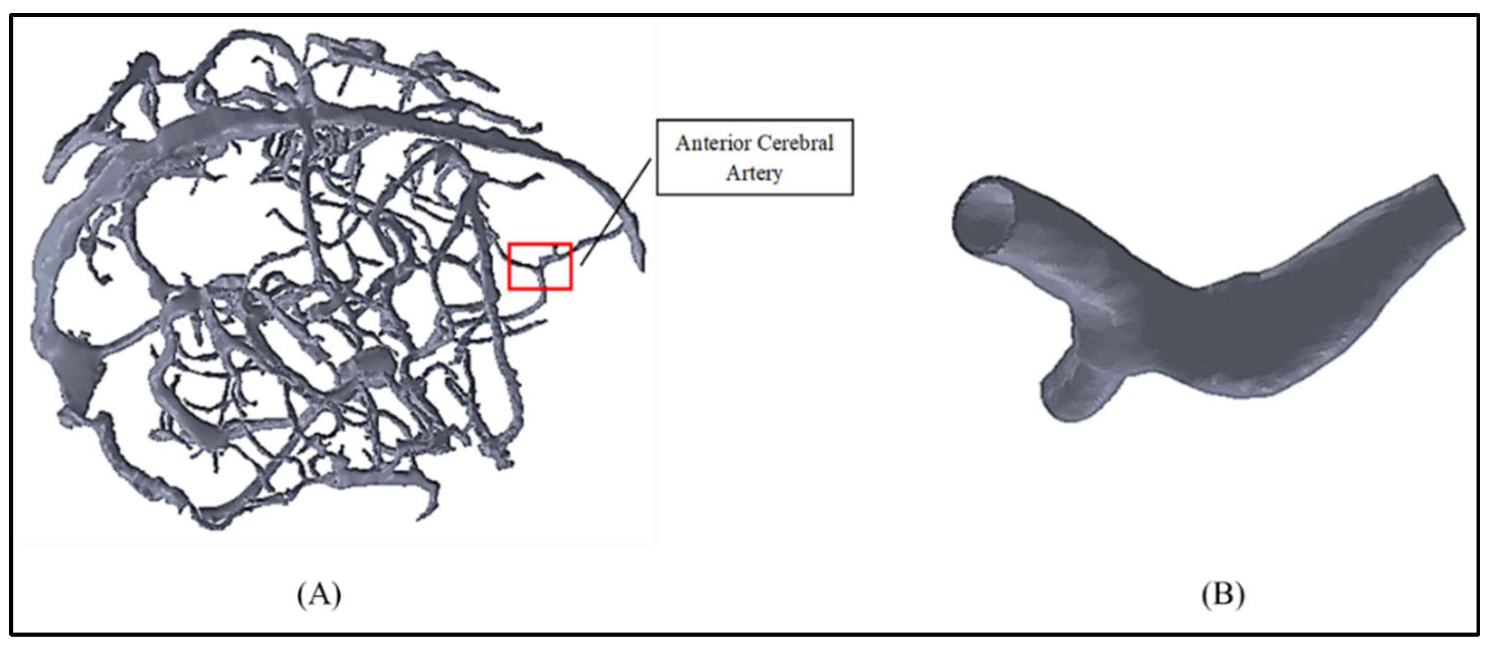 Mca 28 00090 g001 Mca 28 00090 g001