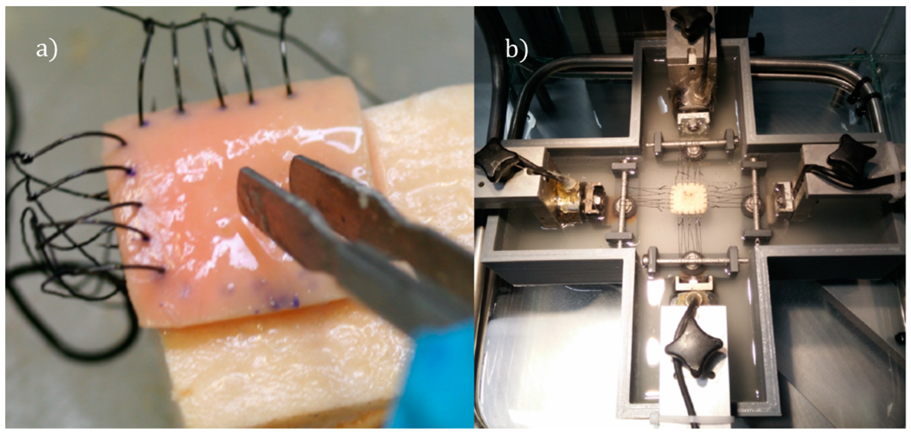 Mca 29 00055 g004 Mca 29 00055 g004