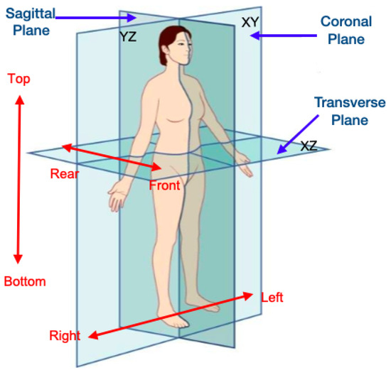 Human Activity Recognition from Accelerometry, Based on a Radius 