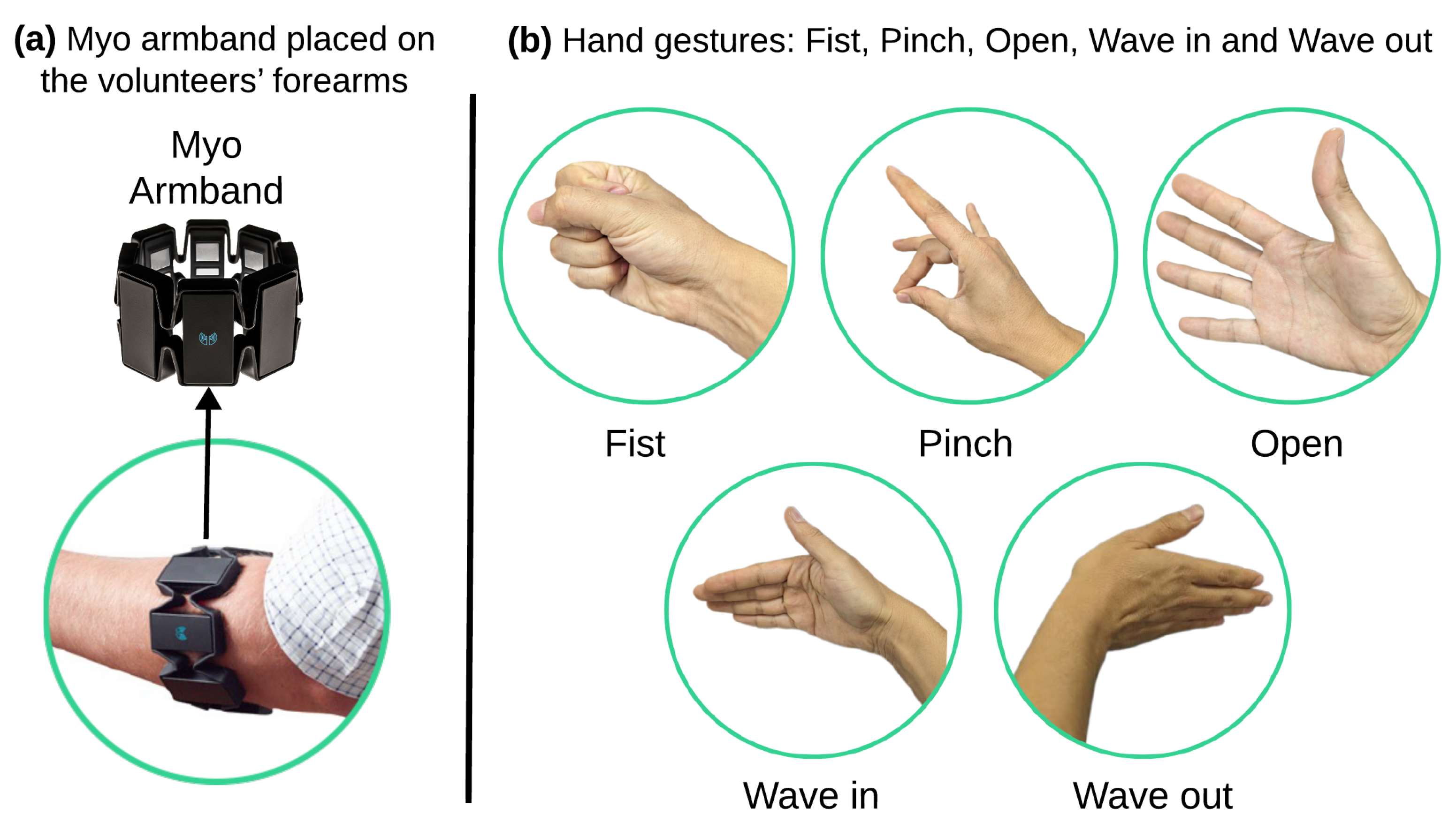 Mca 30 00101 g003 Mca 30 00101 g003