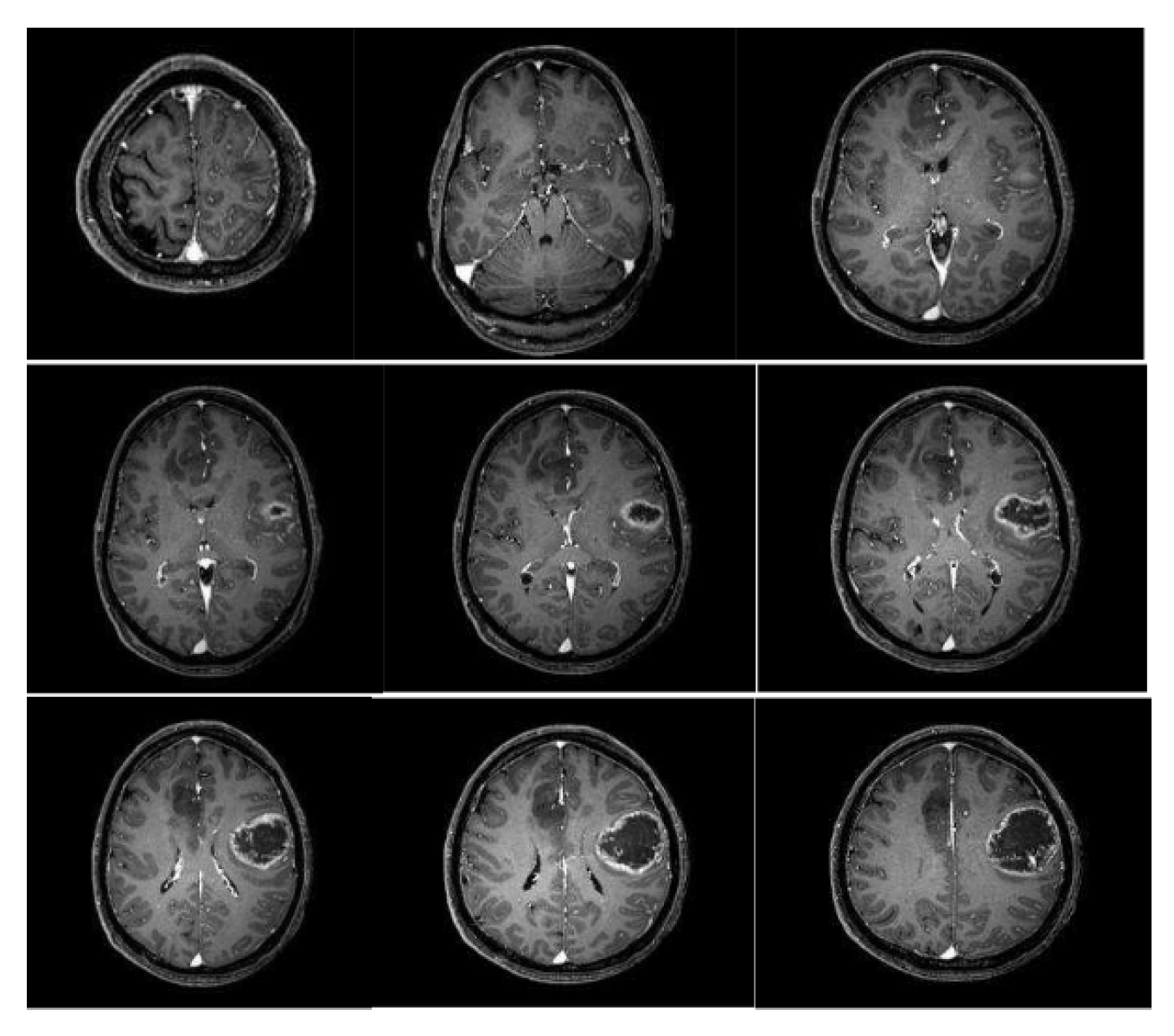 Mca 30 00119 g001 Mca 30 00119 g001