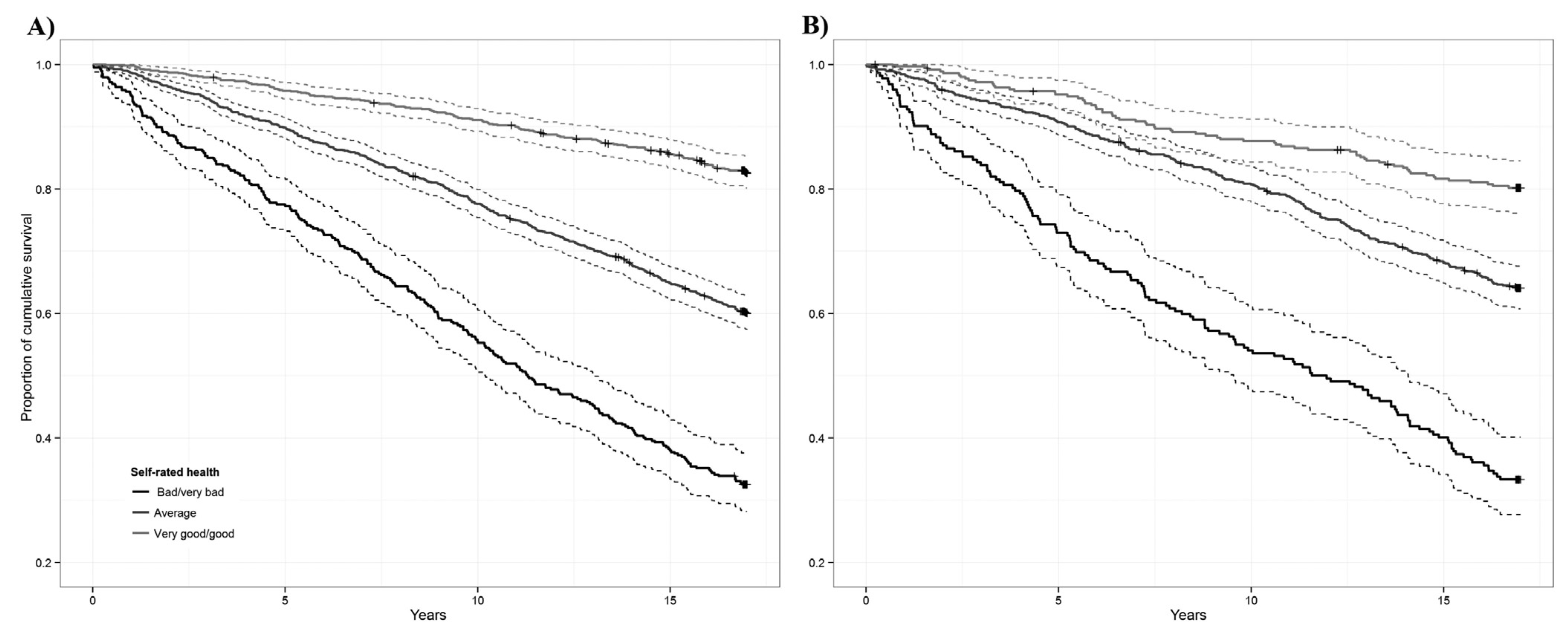 Medicina 53 00114 g001 Medicina 53 00114 g001