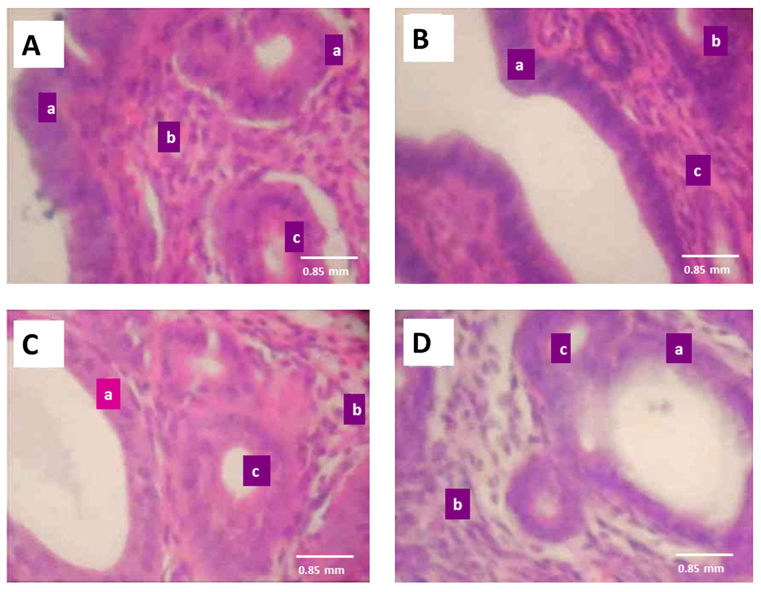 Medicina 53 00190 g009