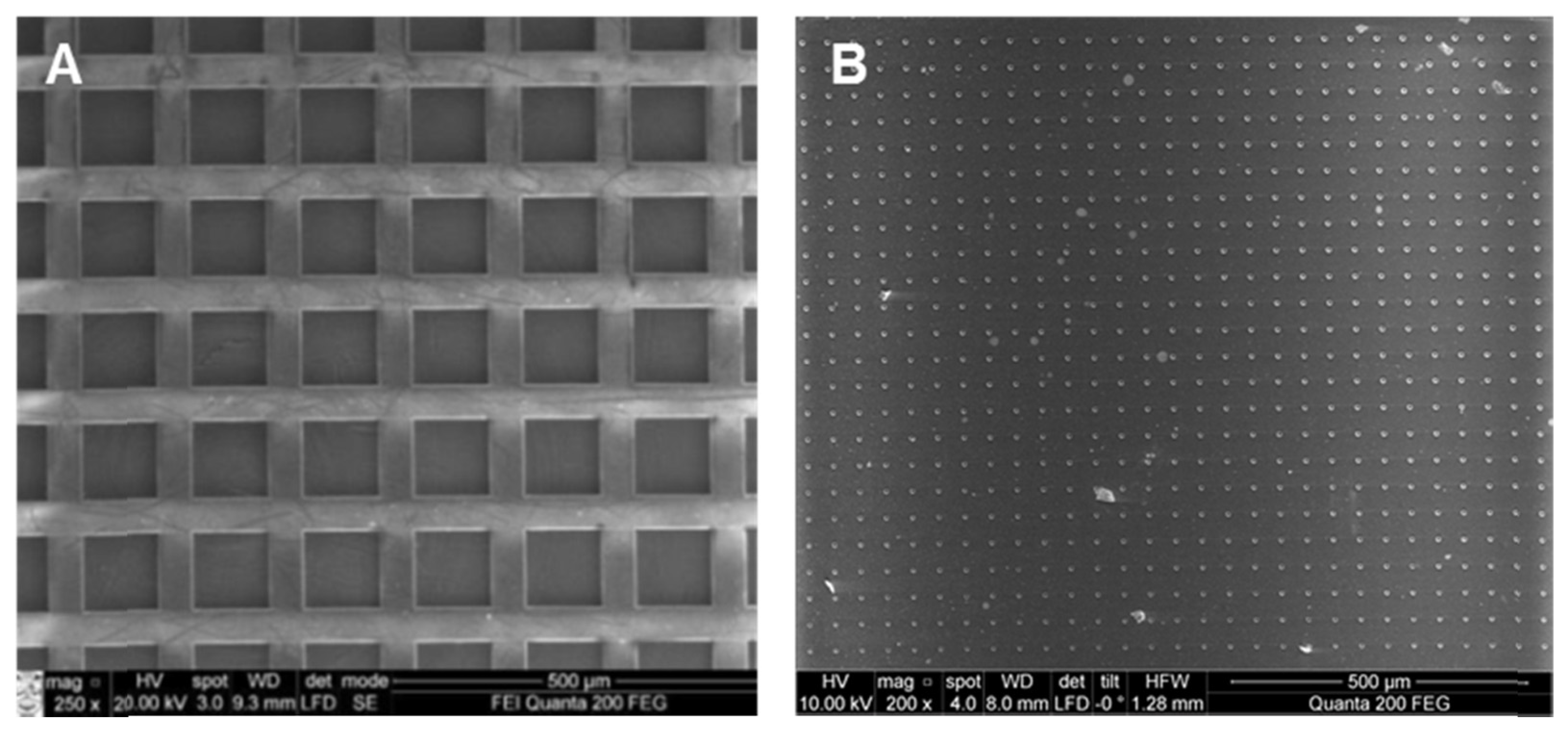 Medicina 53 00203 g002