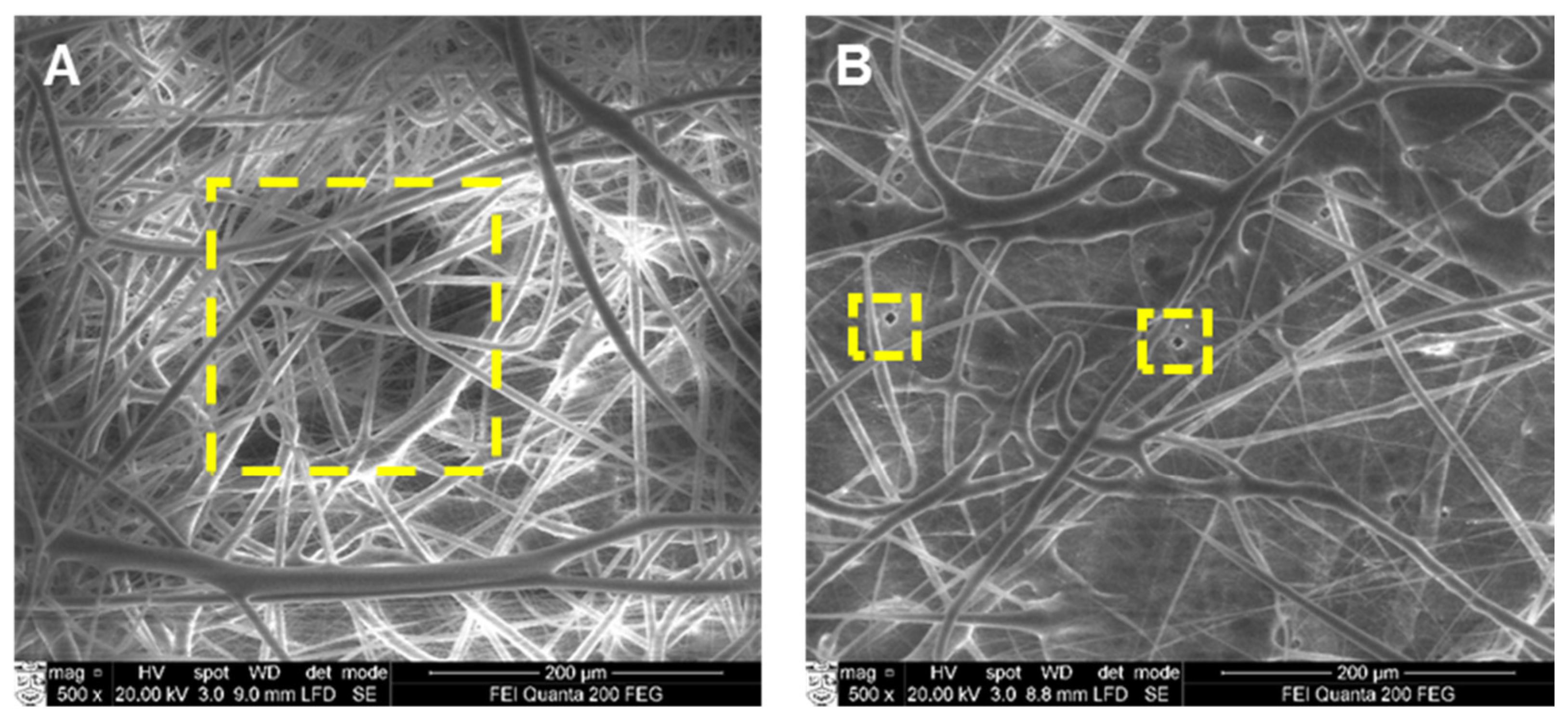 Medicina 53 00203 g004