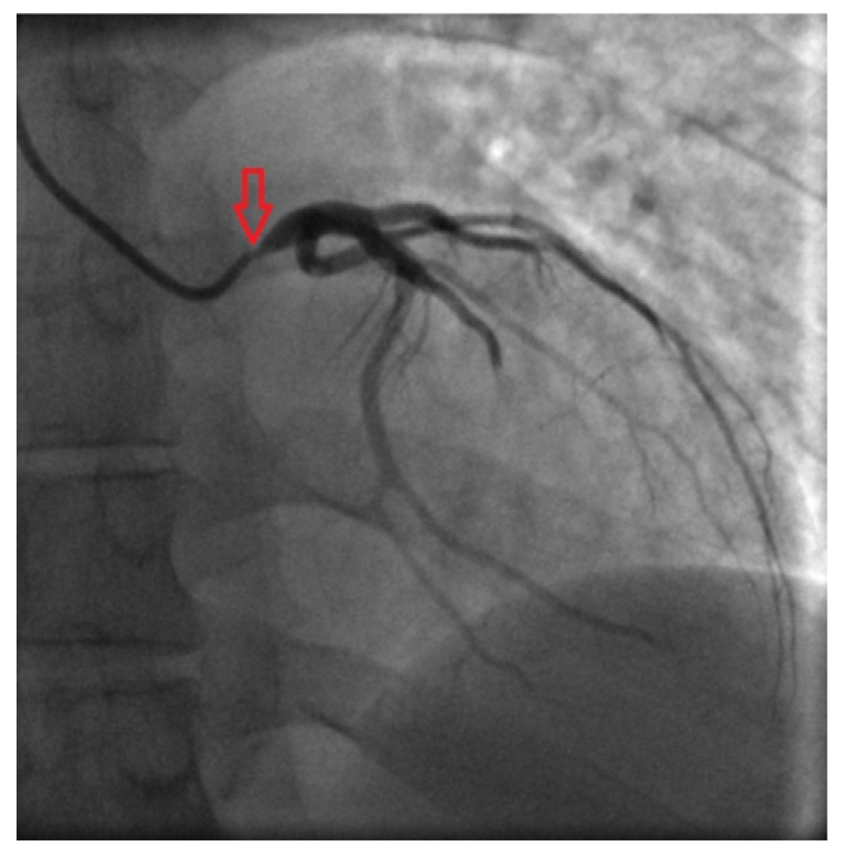 Medicina 53 00211 g003 550