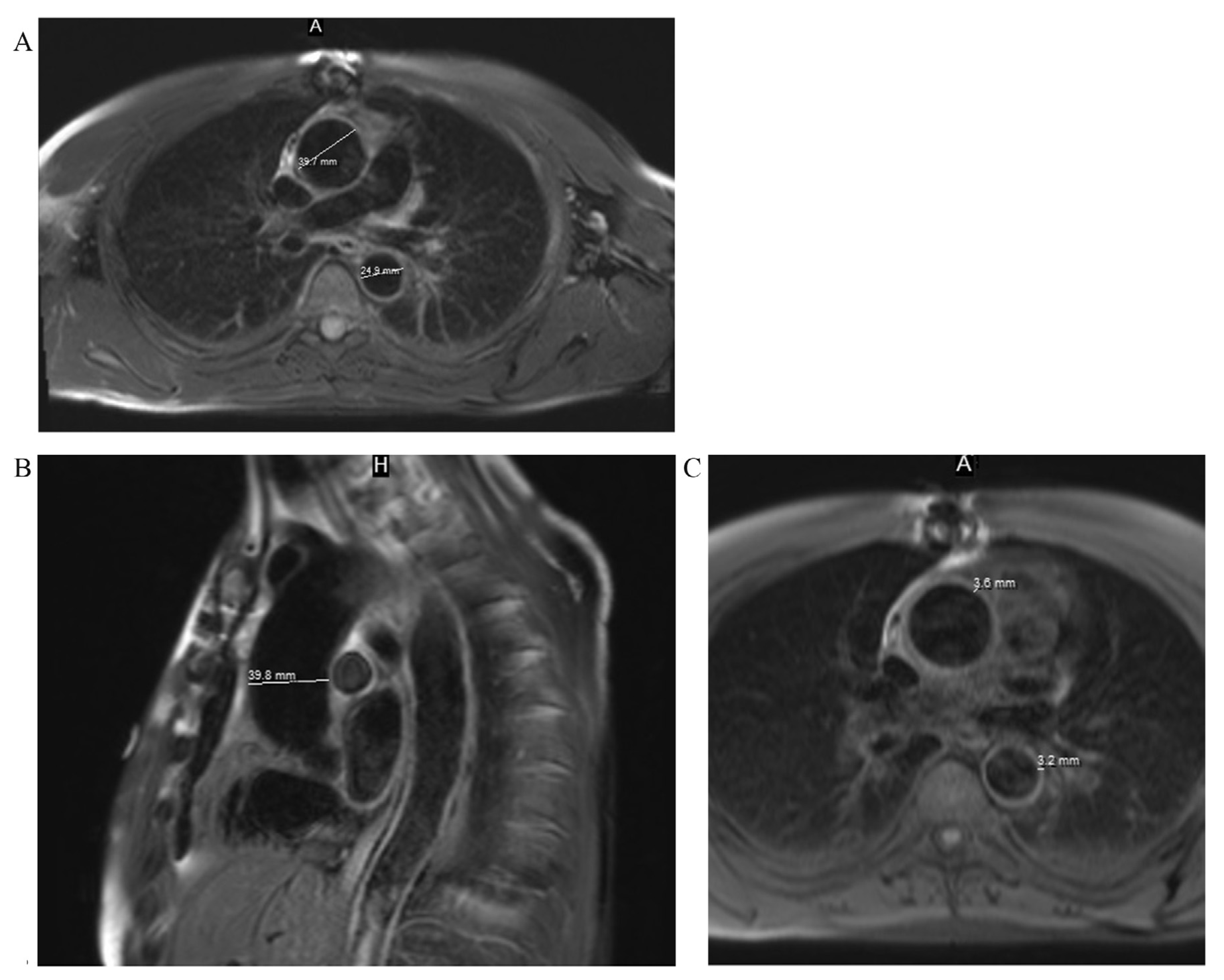 Medicina 53 00211 g005 550